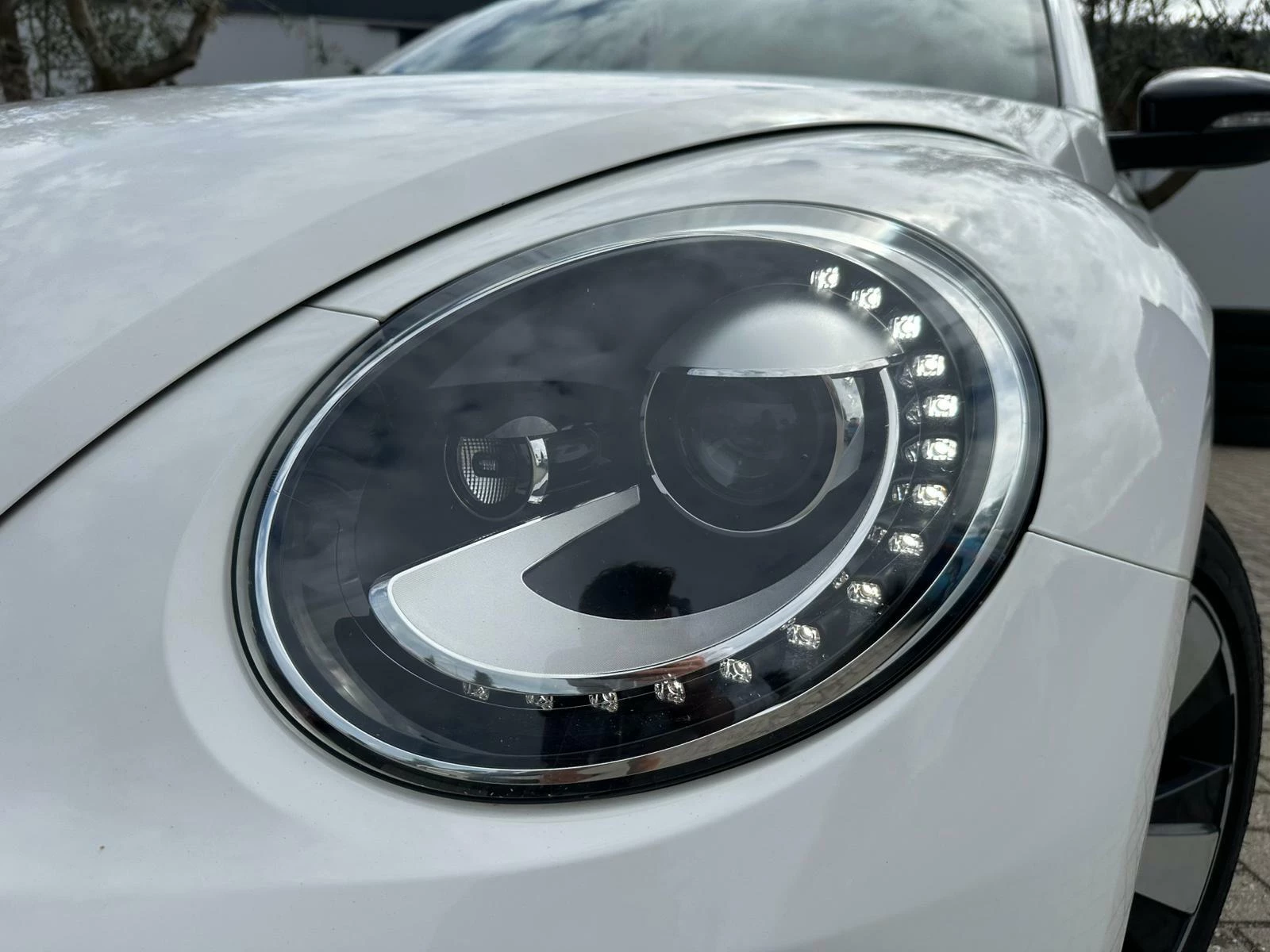 Hoofdafbeelding Volkswagen Beetle