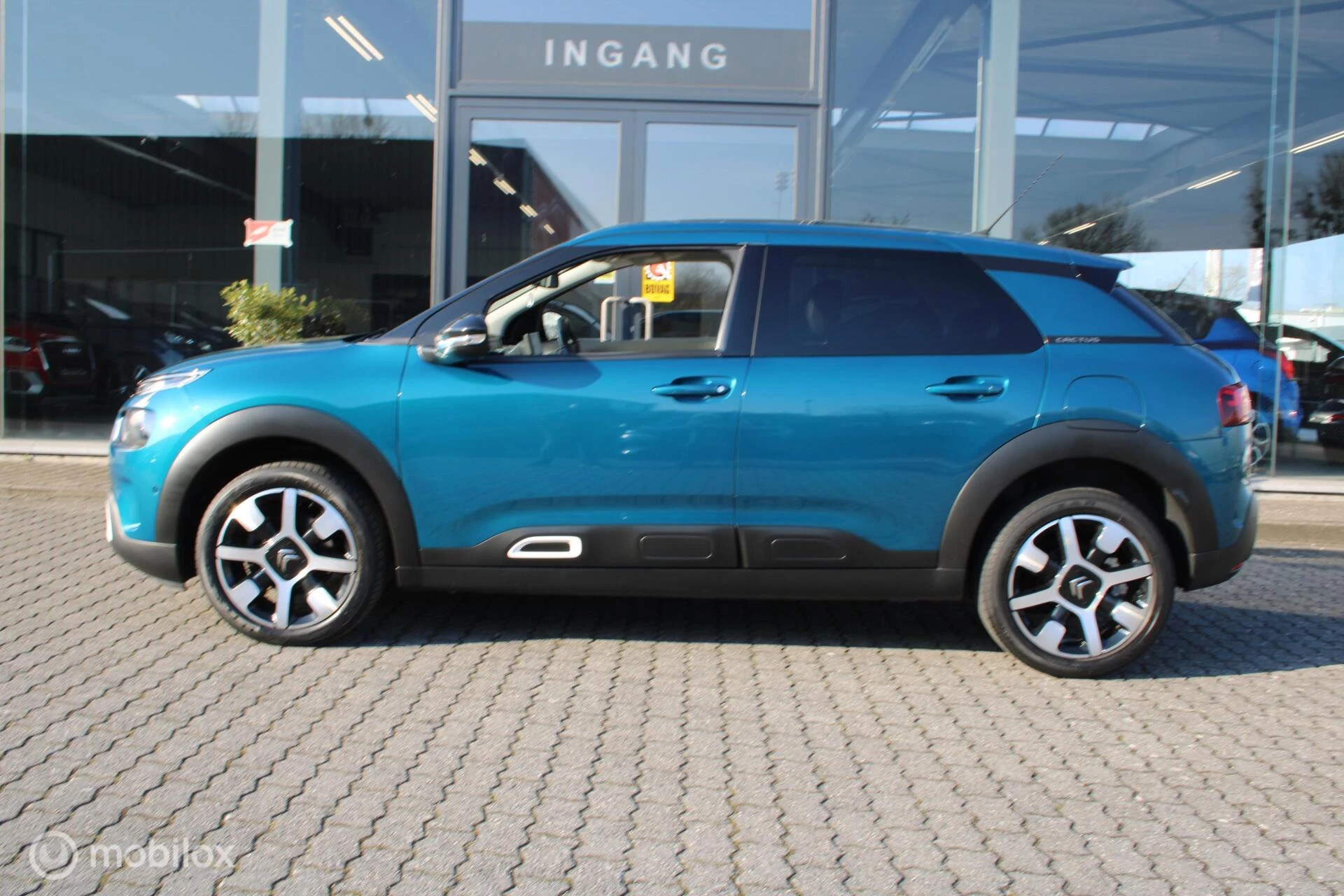 Hoofdafbeelding Citroën C4 Cactus