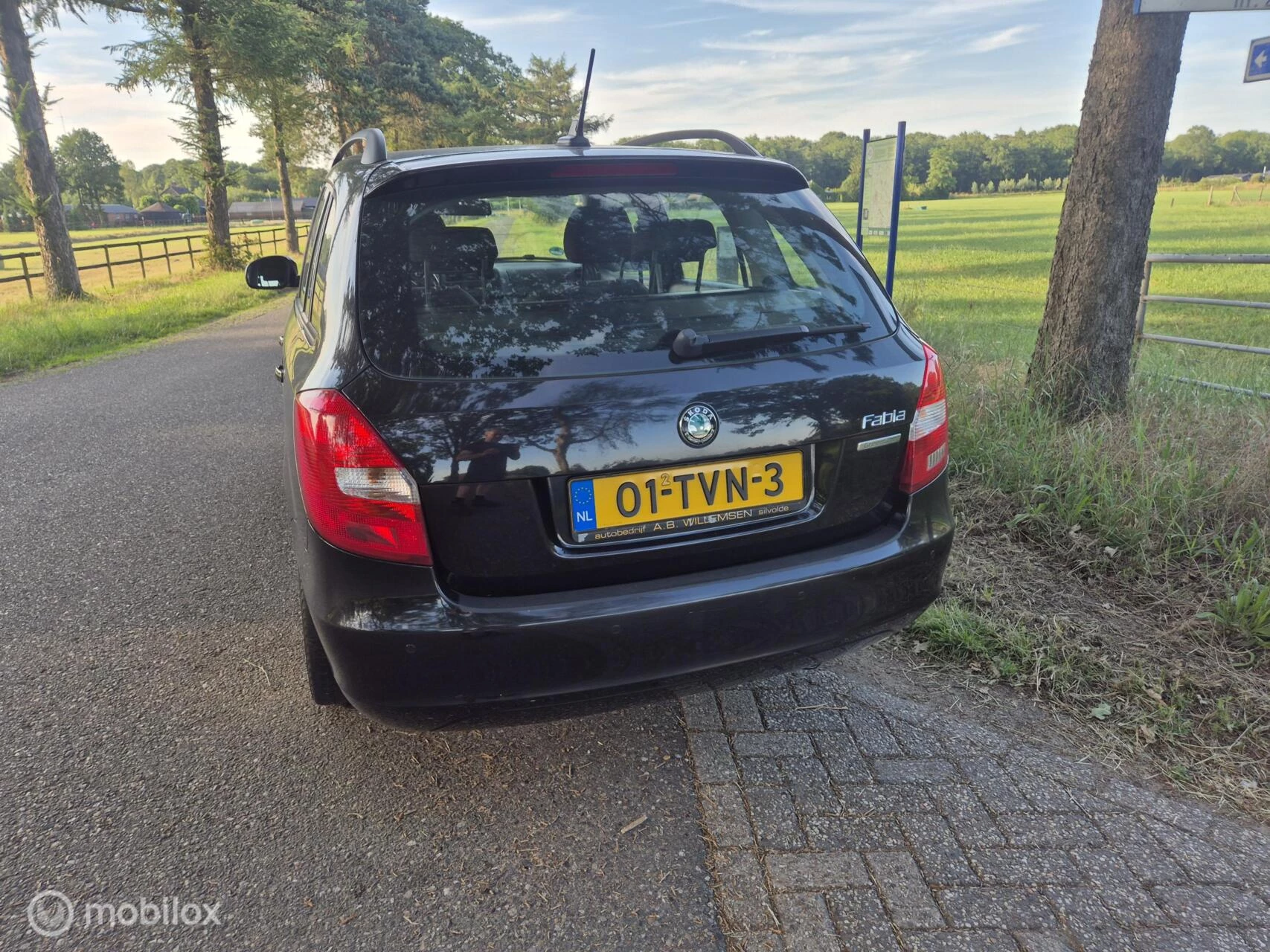 Hoofdafbeelding Škoda Fabia