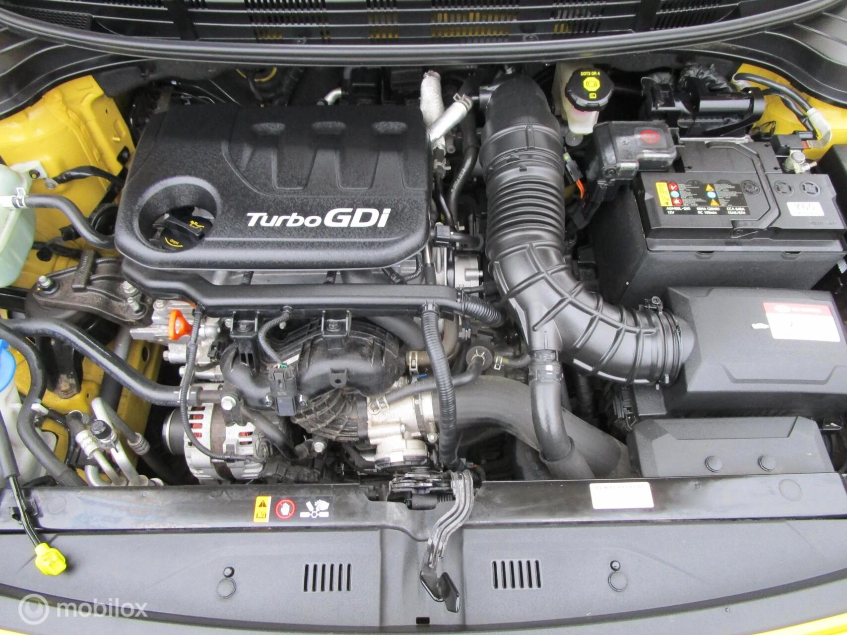 Hoofdafbeelding Kia Rio