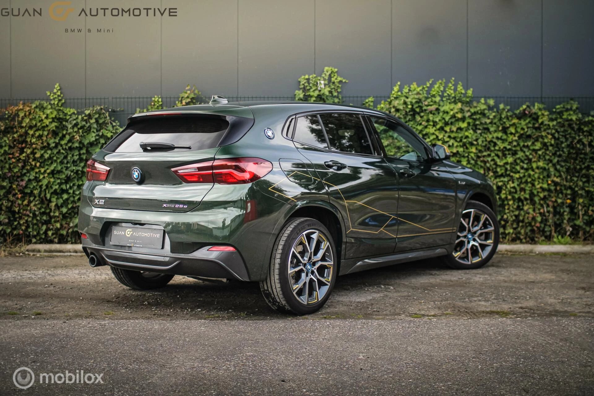 Hoofdafbeelding BMW X2