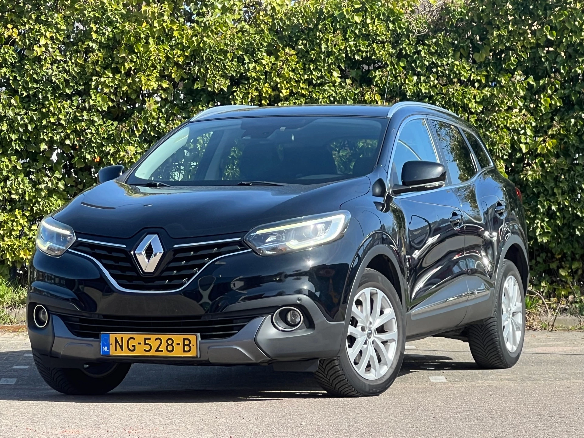 Hoofdafbeelding Renault Kadjar