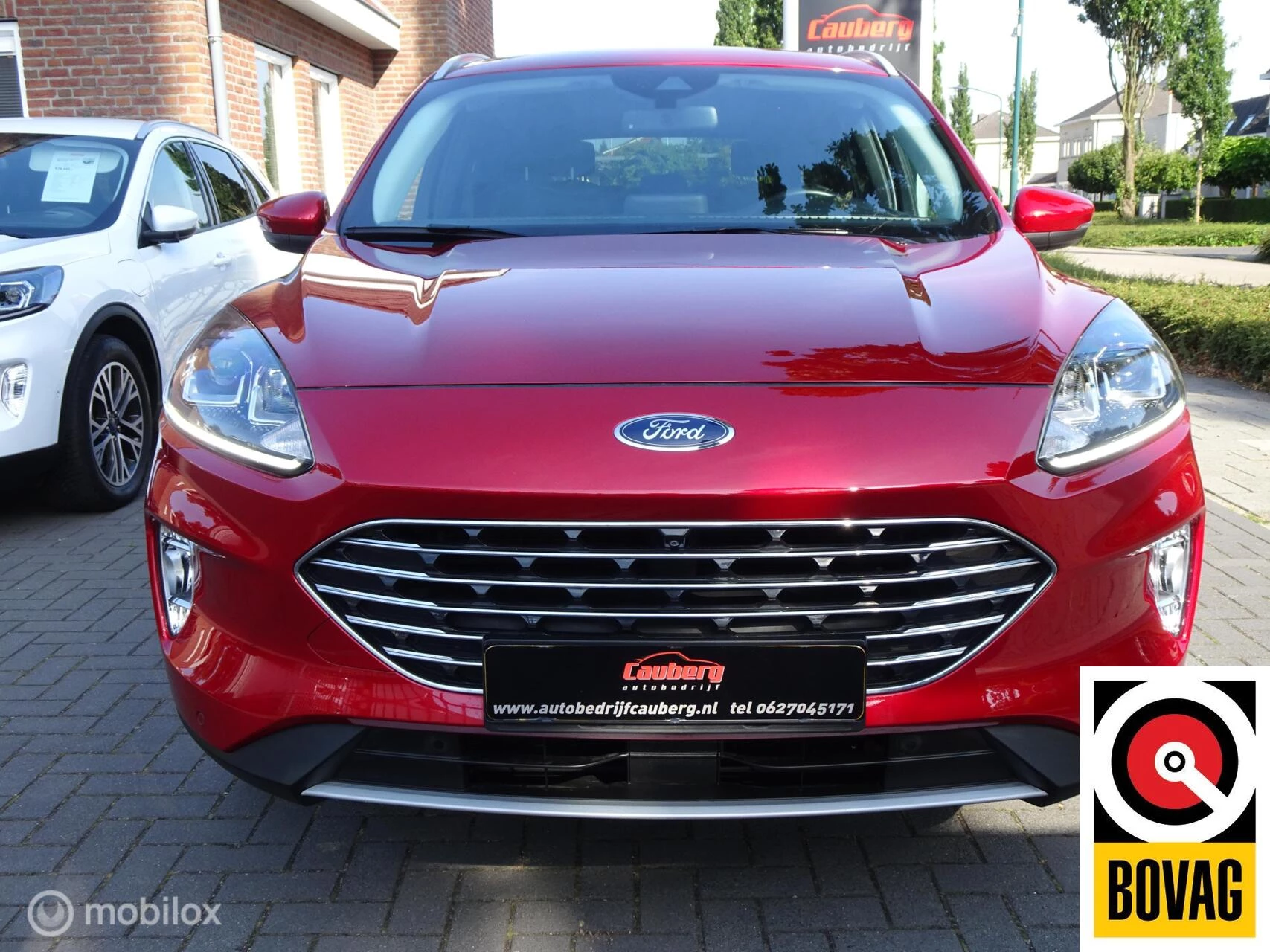 Hoofdafbeelding Ford Kuga