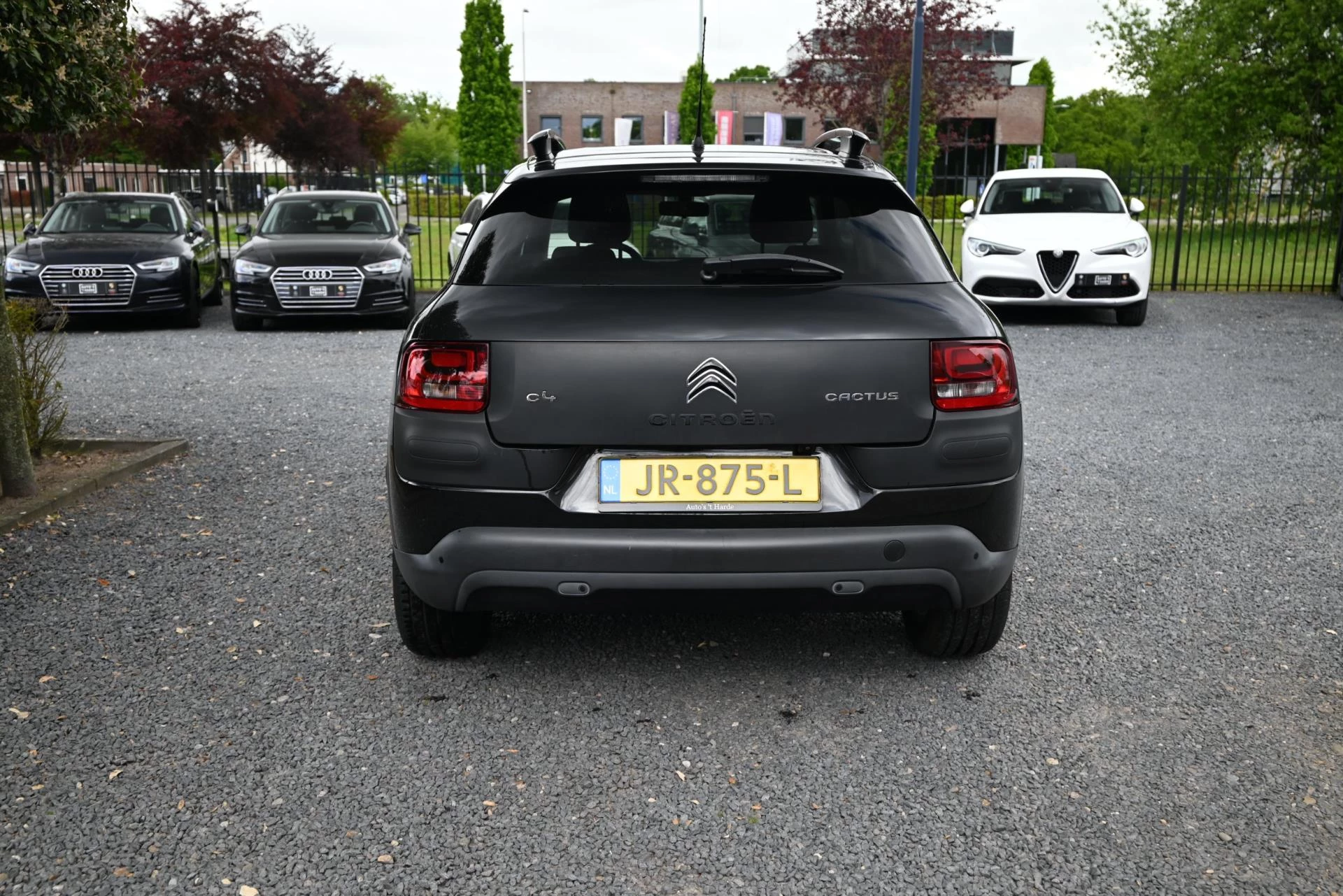 Hoofdafbeelding Citroën C4 Cactus