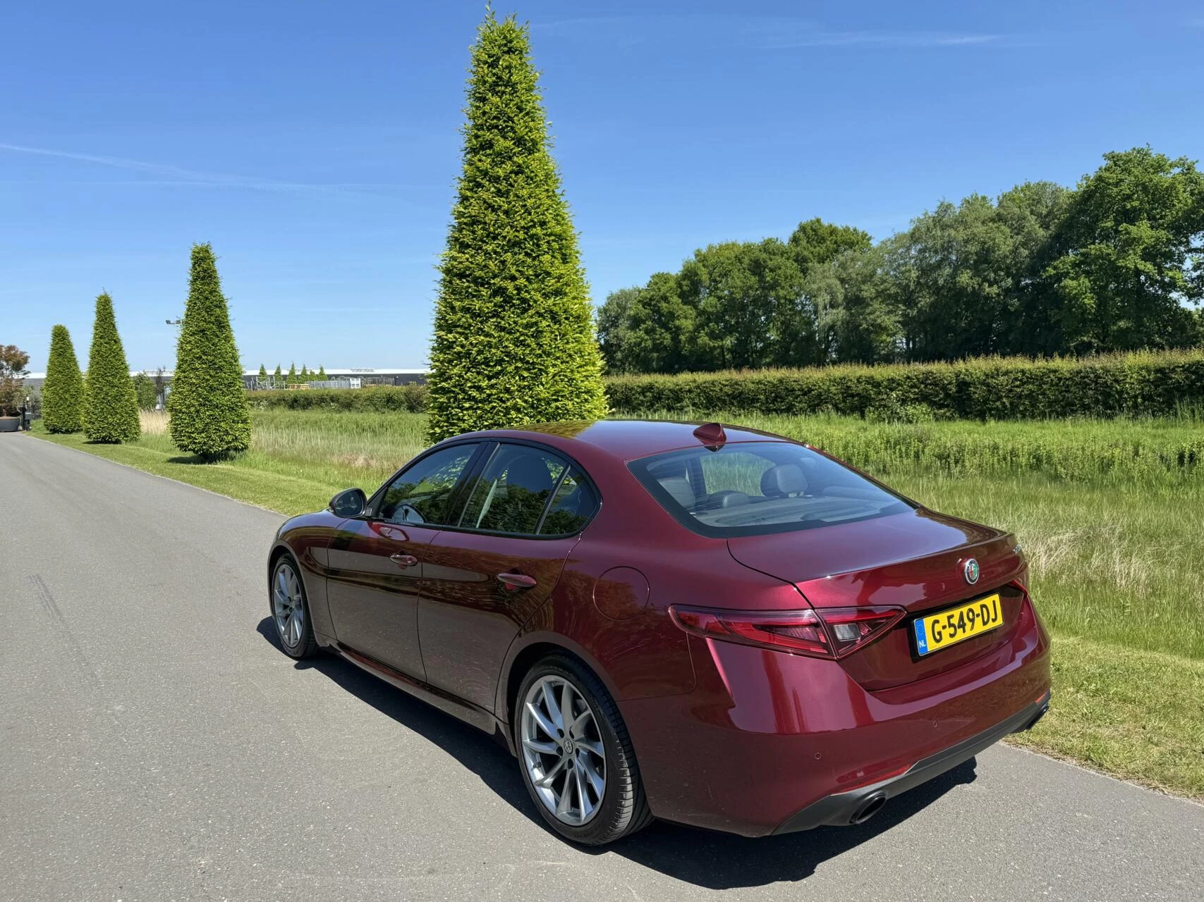 Hoofdafbeelding Alfa Romeo Giulia