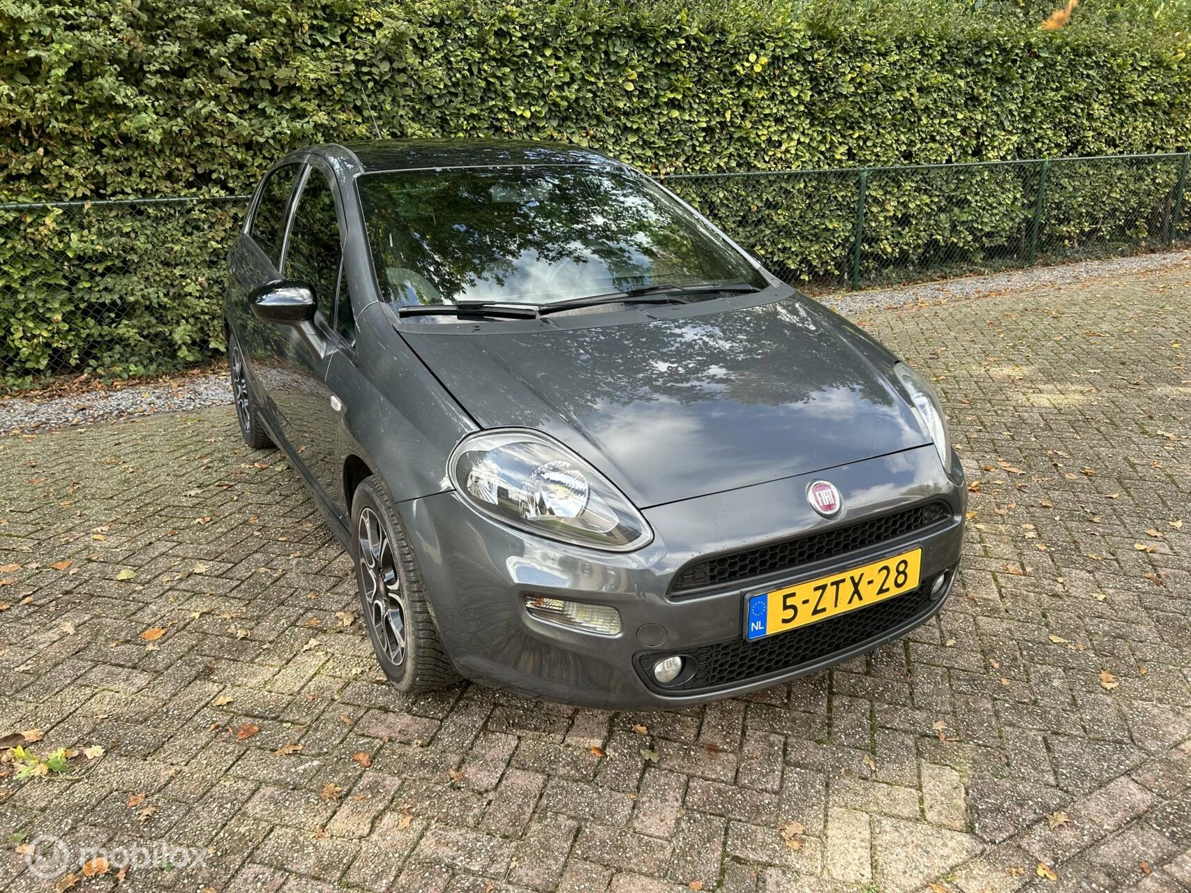 Hoofdafbeelding Fiat Punto