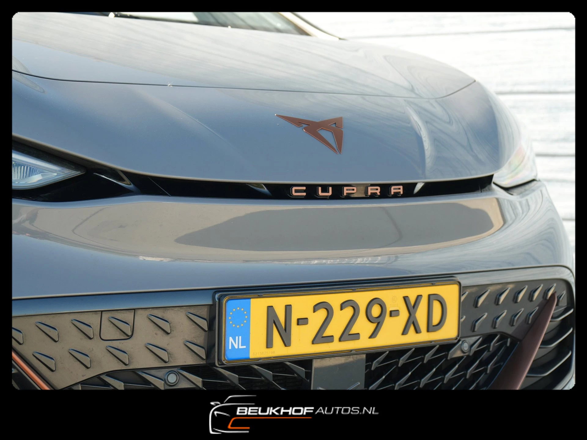 Hoofdafbeelding CUPRA Born