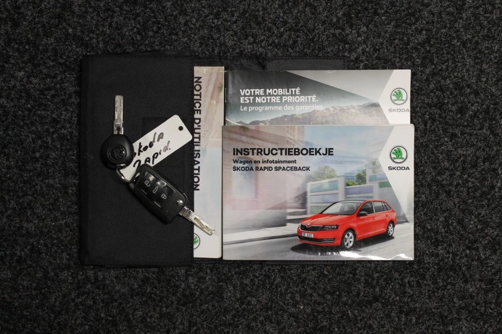 Hoofdafbeelding Škoda Rapid