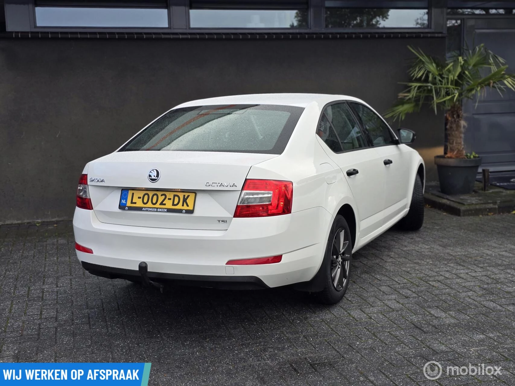 Hoofdafbeelding Škoda Octavia