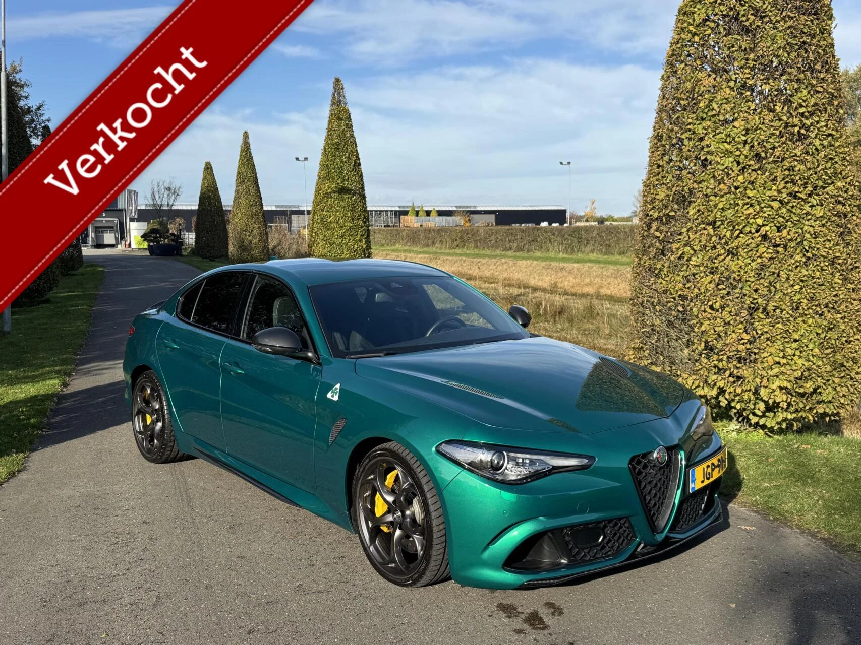 Hoofdafbeelding Alfa Romeo Giulia