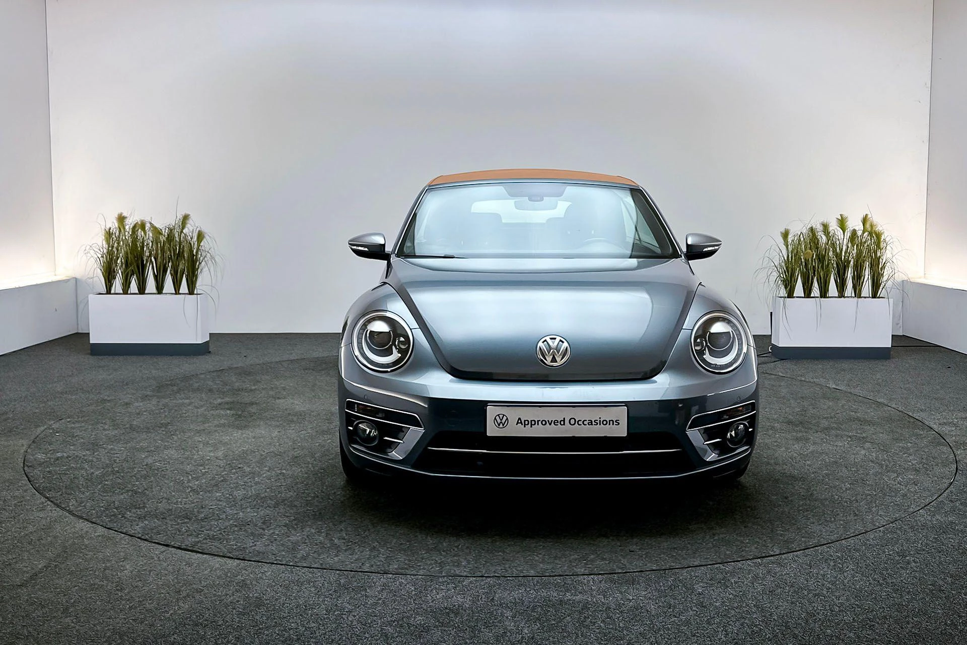 Hoofdafbeelding Volkswagen Beetle