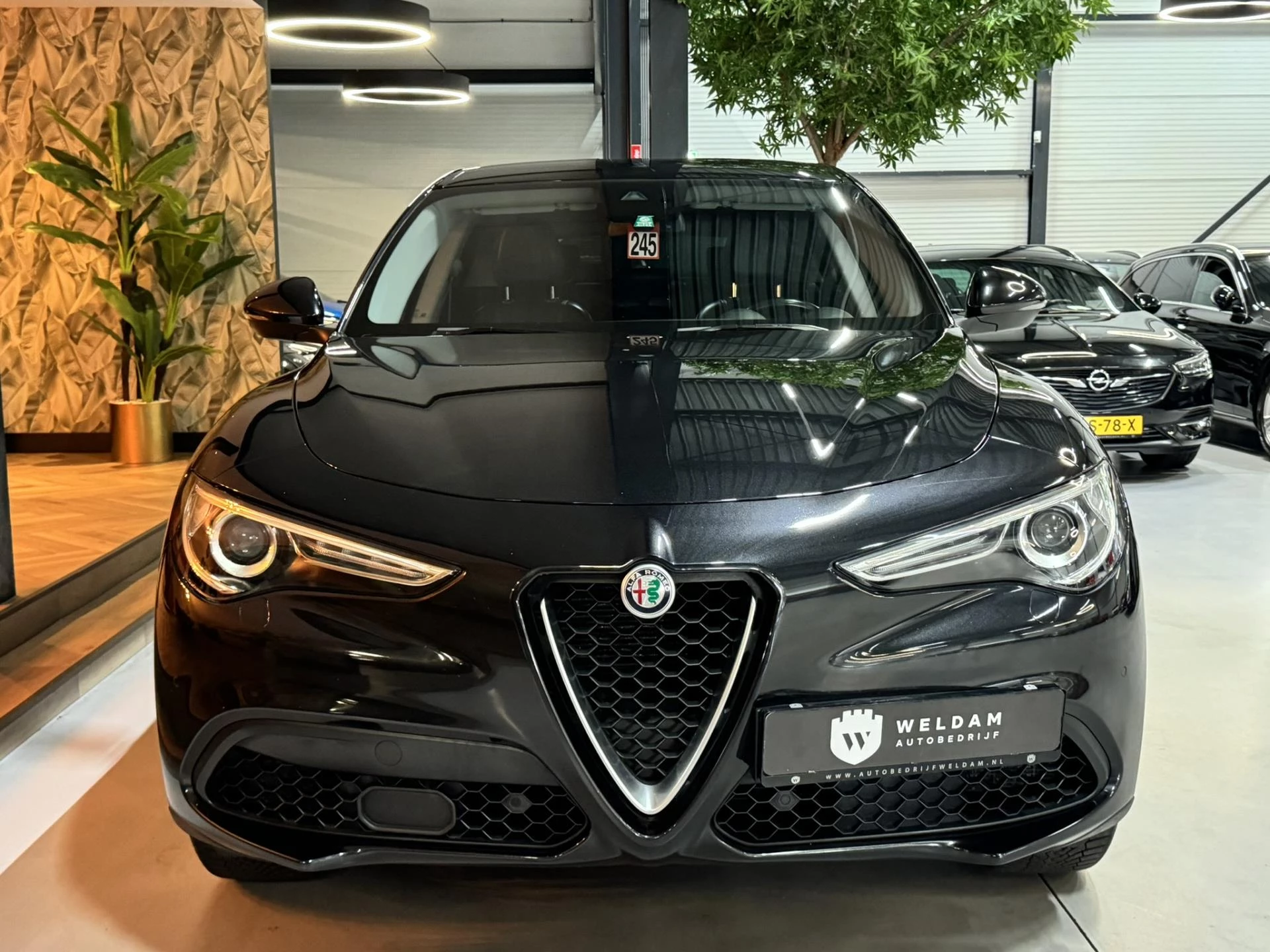 Hoofdafbeelding Alfa Romeo Stelvio
