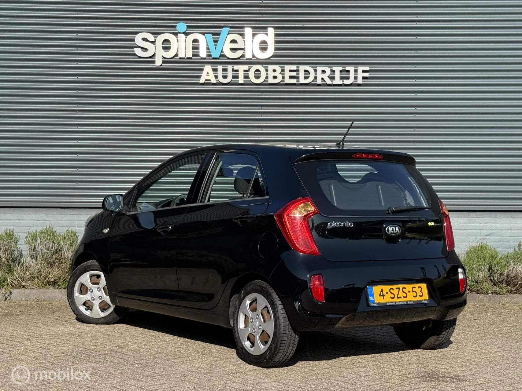 Hoofdafbeelding Kia Picanto