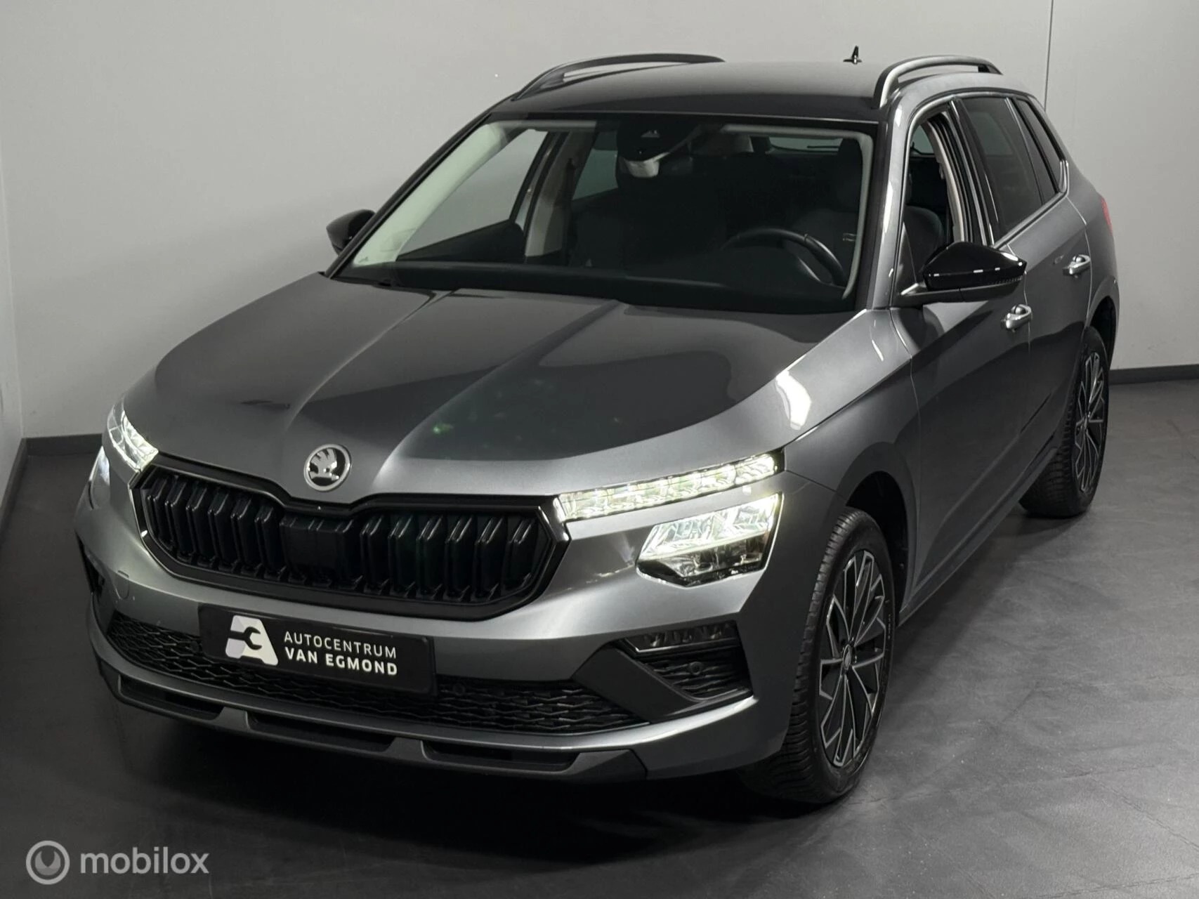 Hoofdafbeelding Škoda Kamiq