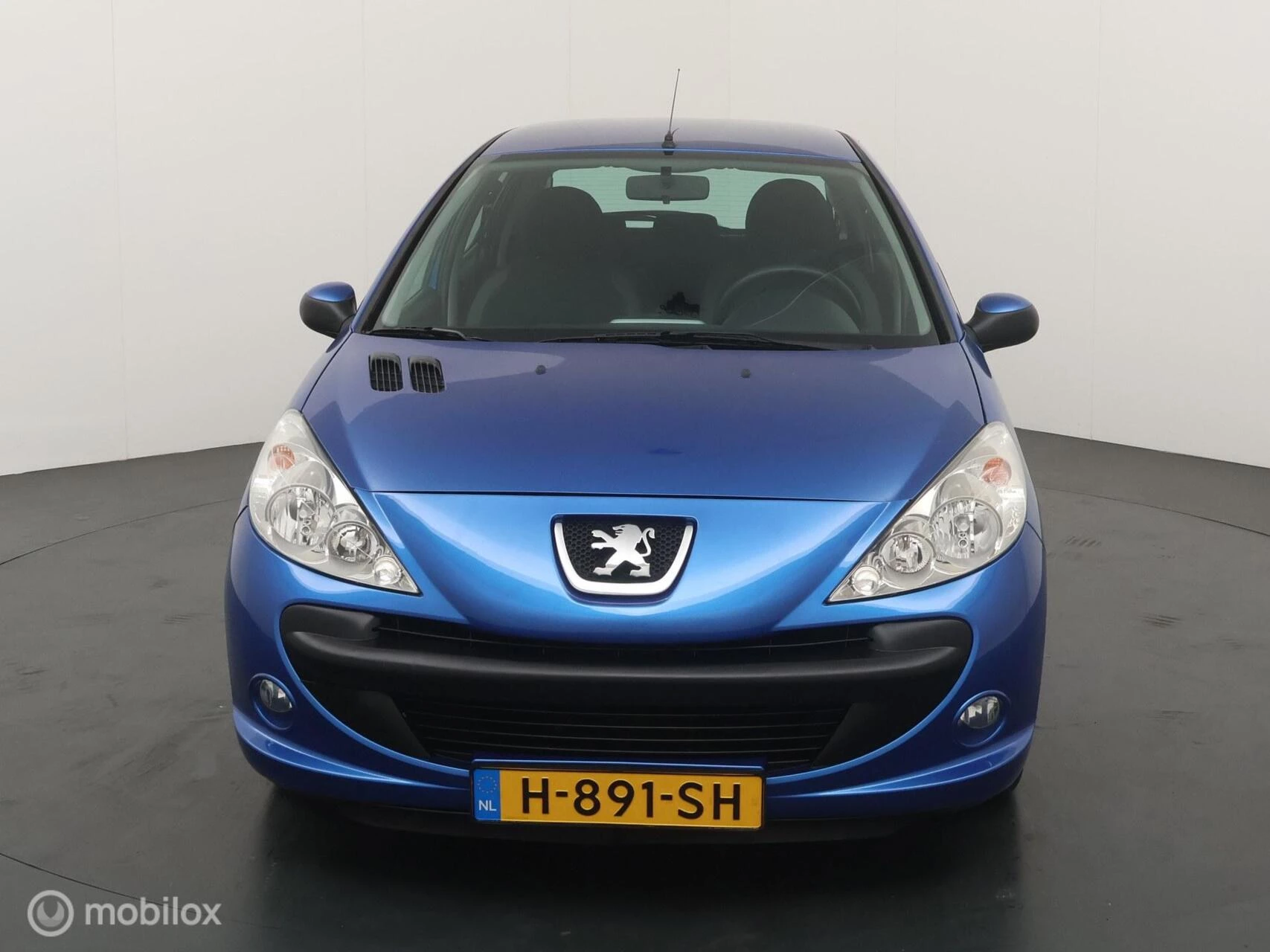 Hoofdafbeelding Peugeot 206
