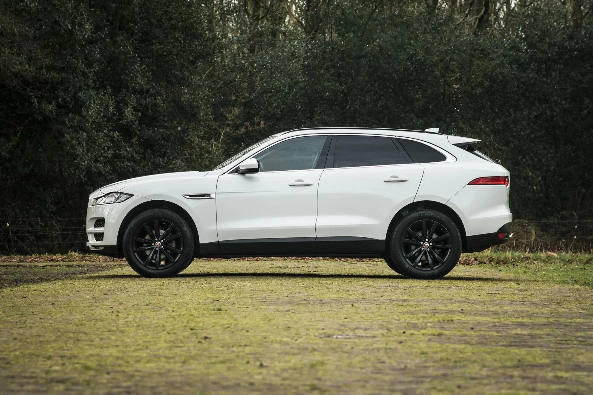 Hoofdafbeelding Jaguar F-PACE