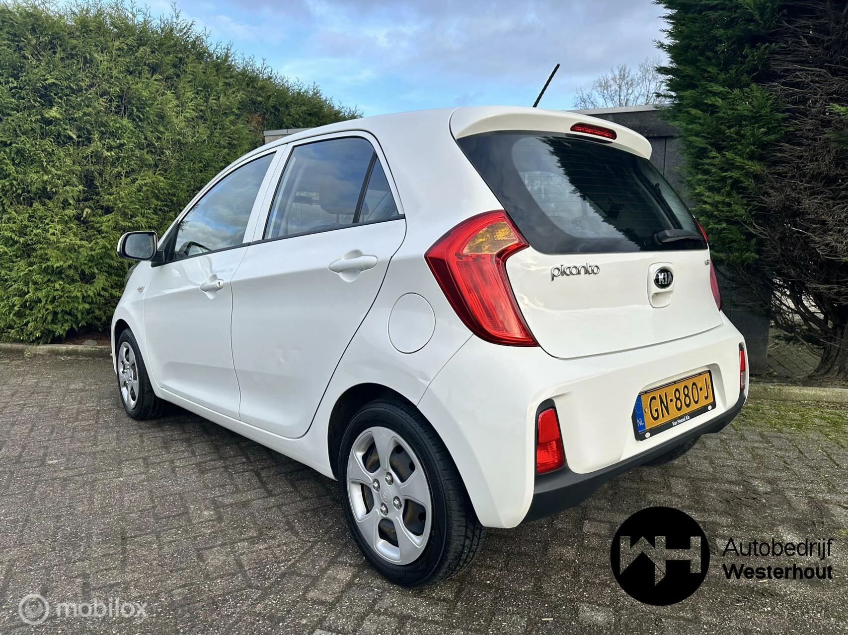 Hoofdafbeelding Kia Picanto