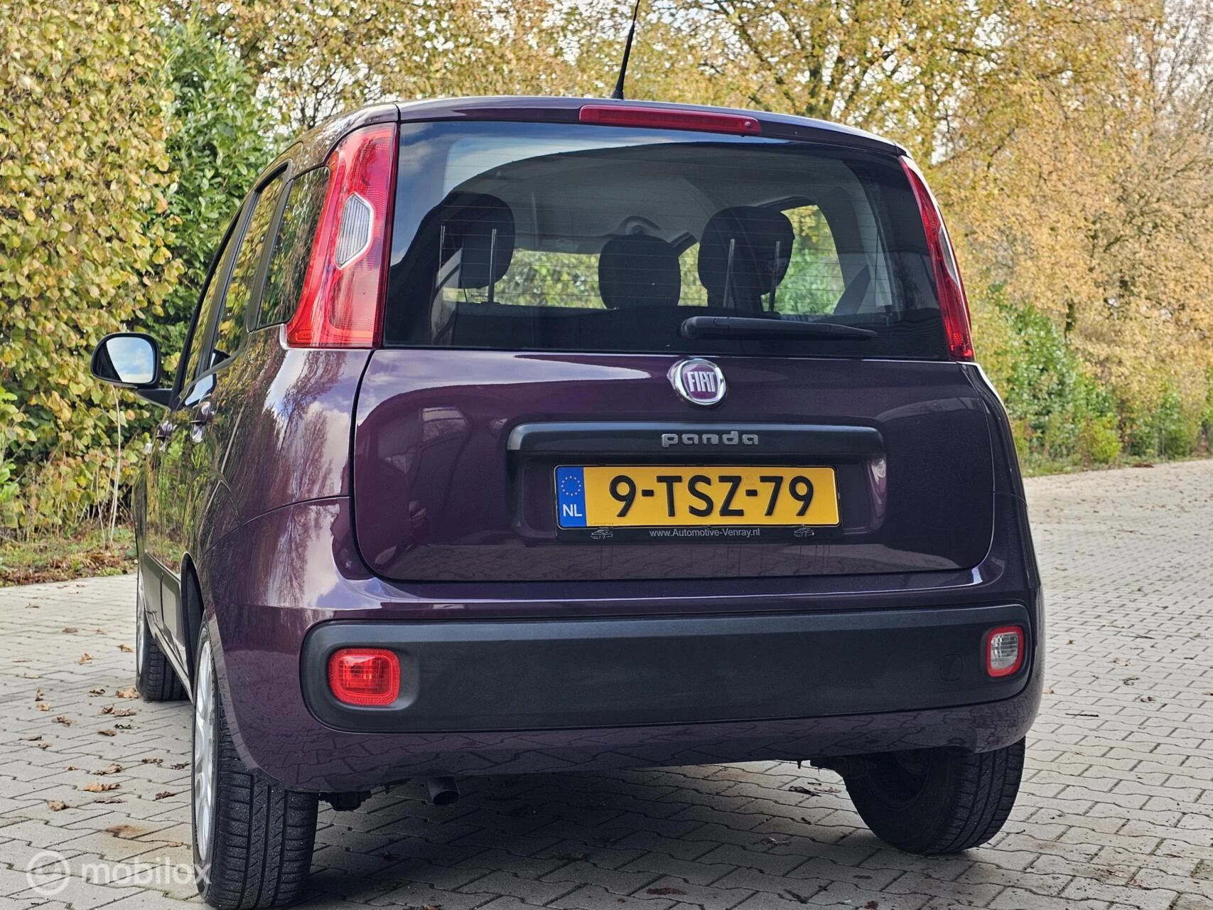 Hoofdafbeelding Fiat Panda