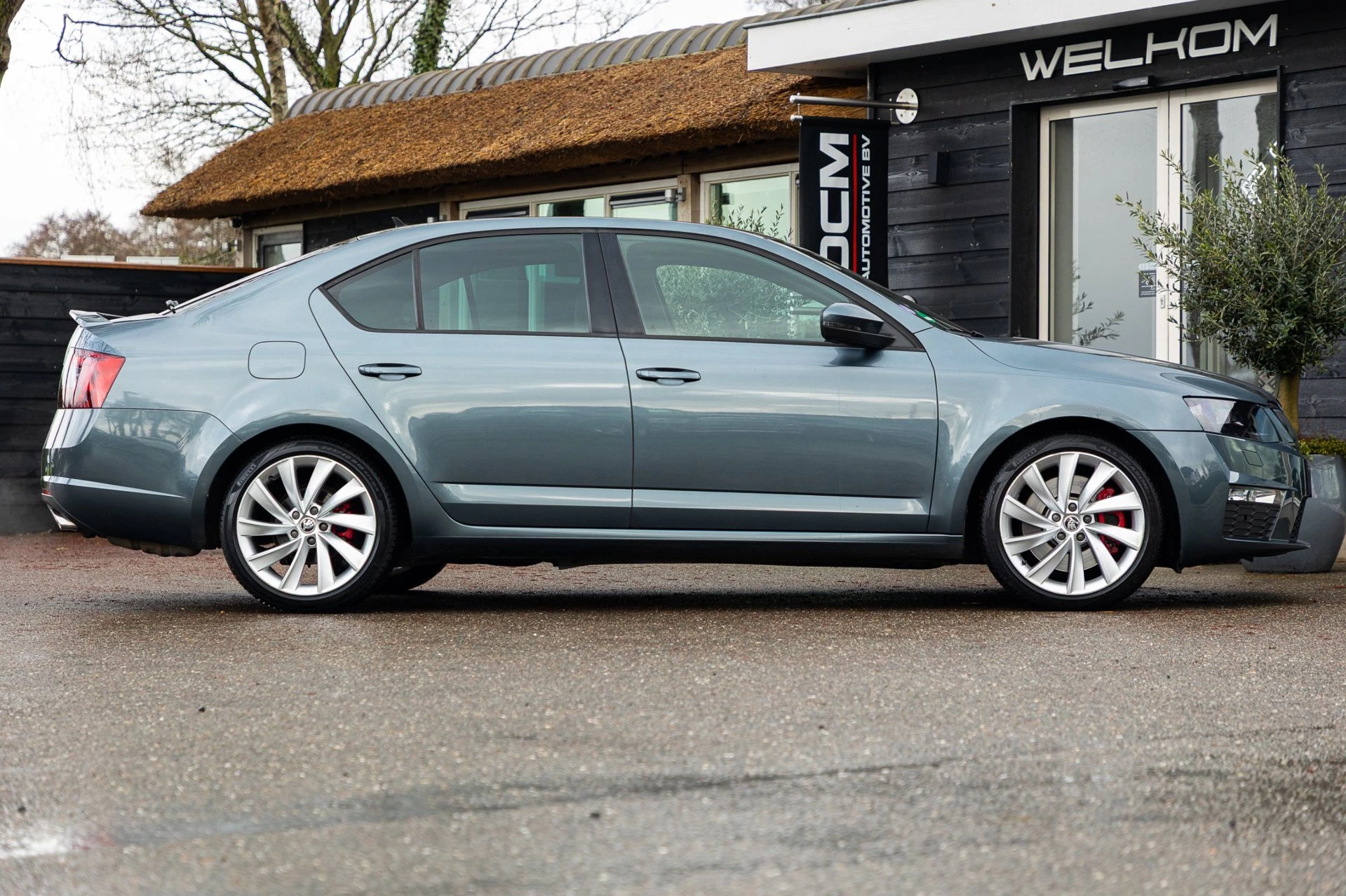 Hoofdafbeelding Škoda Octavia