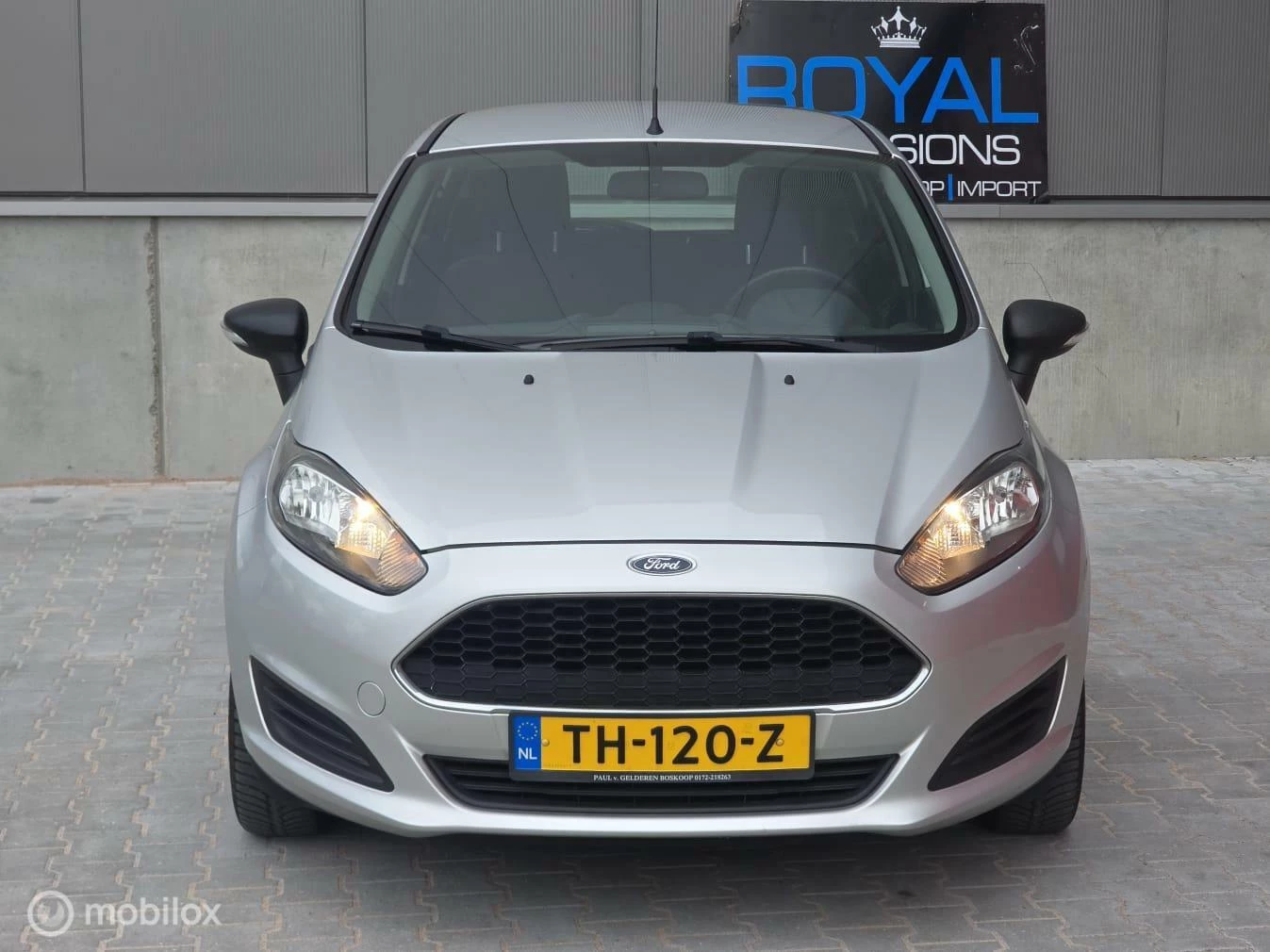 Hoofdafbeelding Ford Fiesta