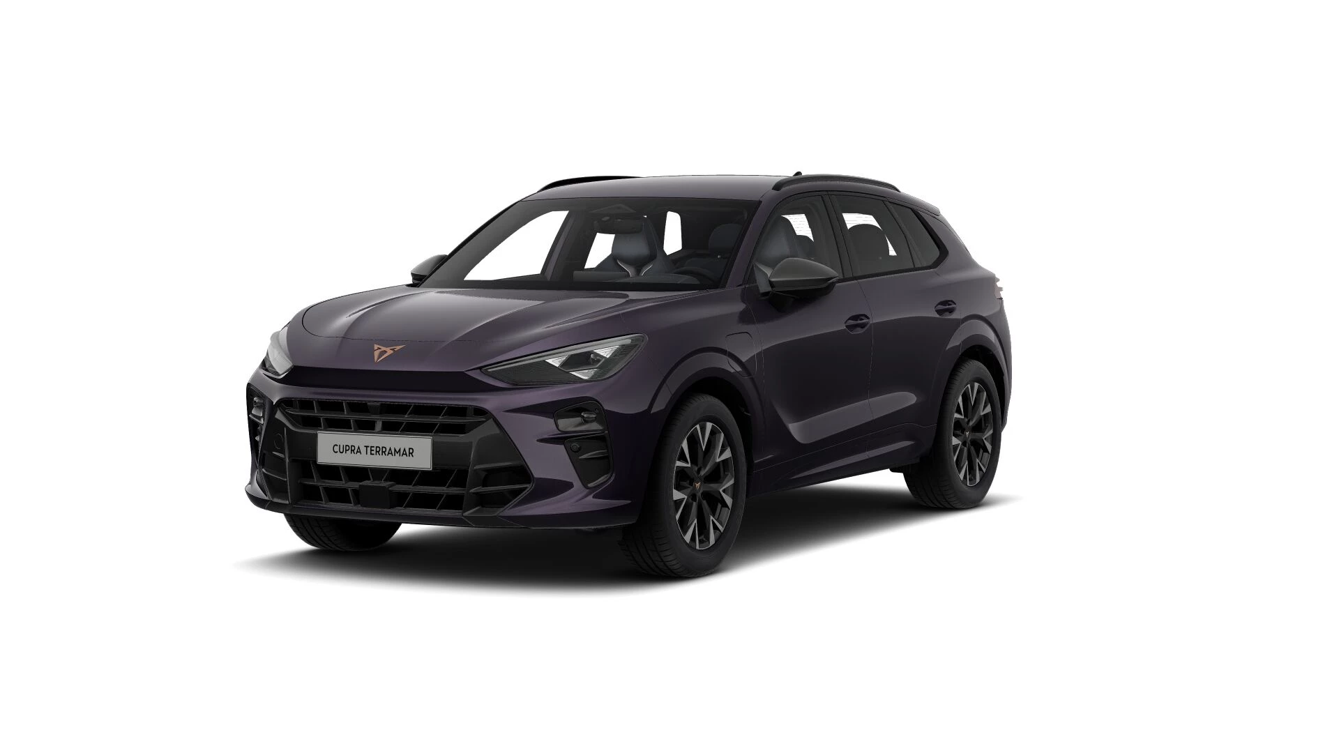 Hoofdafbeelding CUPRA Terramar