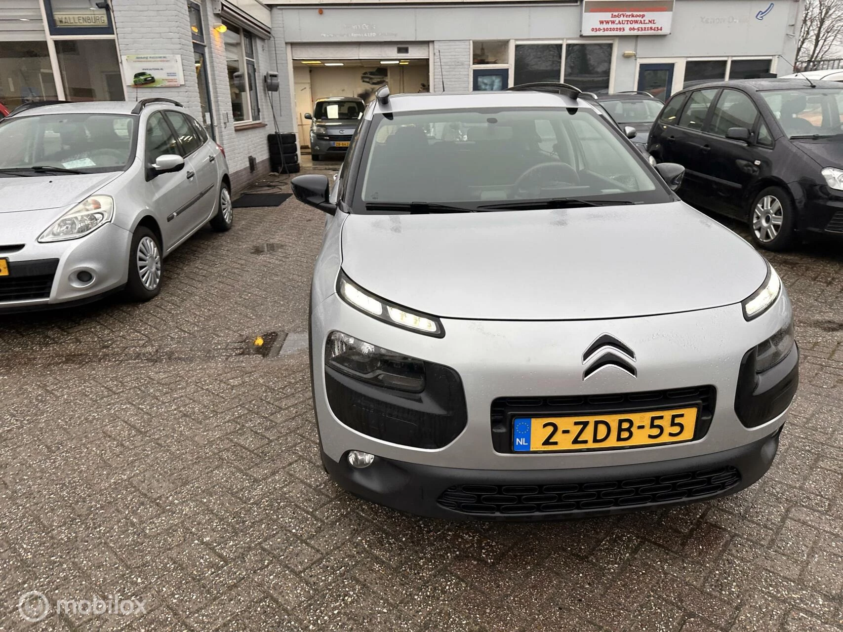 Hoofdafbeelding Citroën C4 Cactus