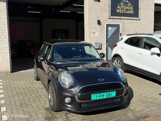 Mini Mini 1.2 One Pepper Business