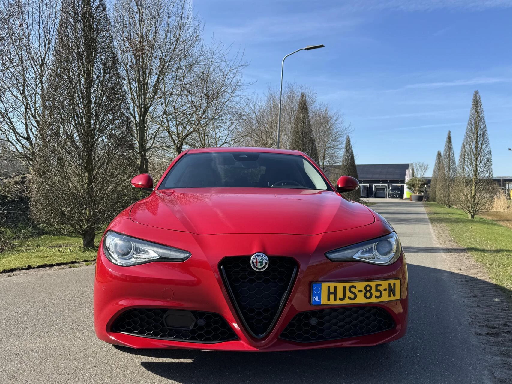 Hoofdafbeelding Alfa Romeo Giulia