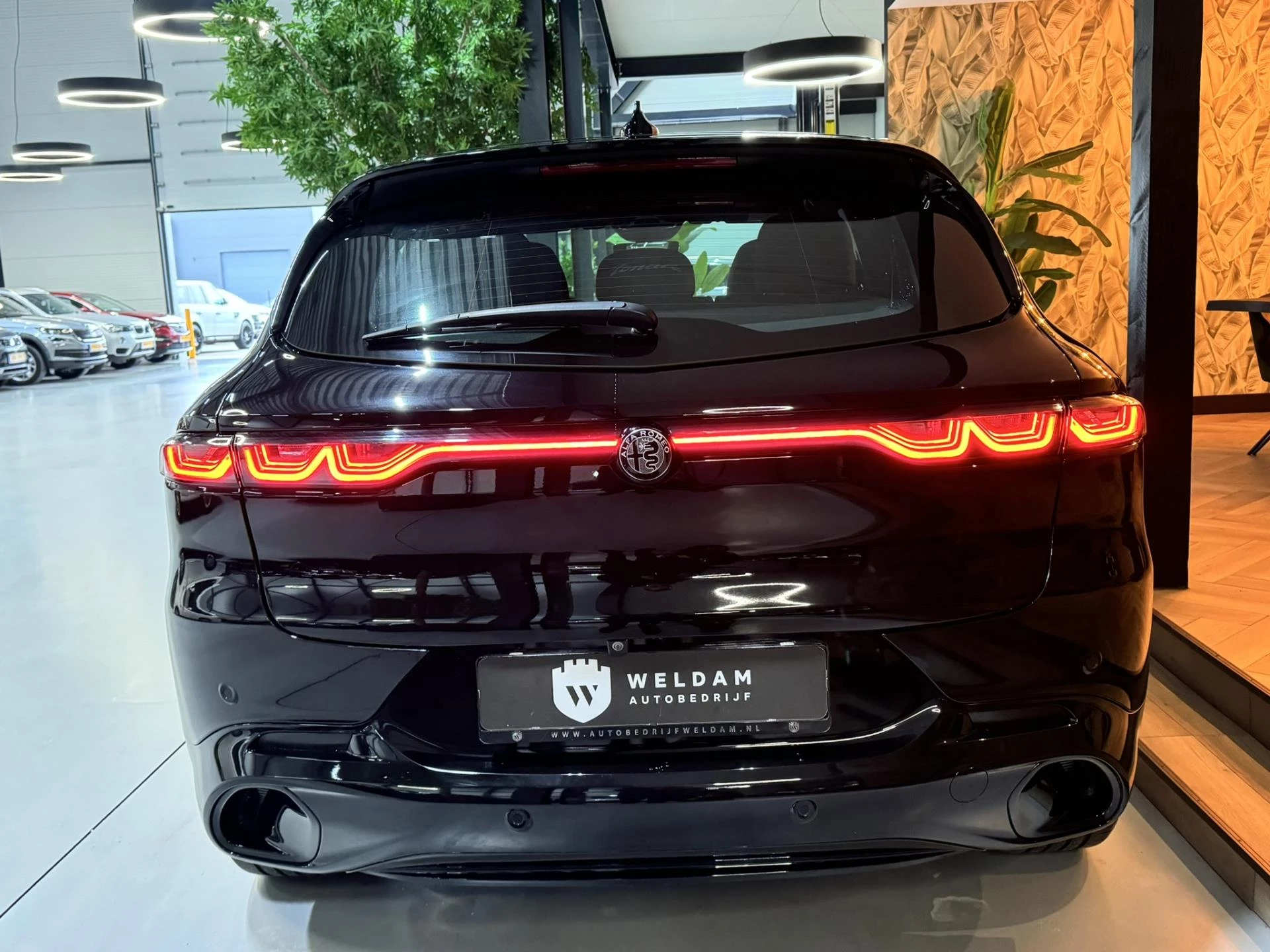 Hoofdafbeelding Alfa Romeo Tonale