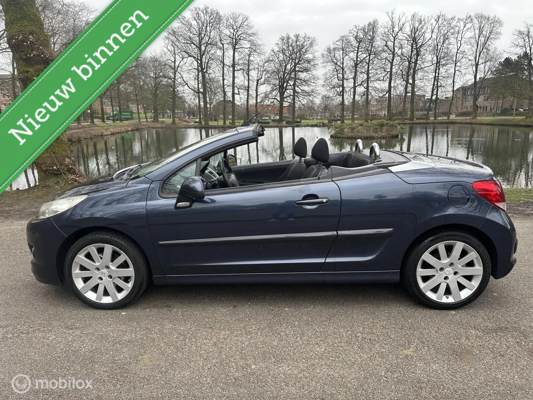 Hoofdafbeelding Peugeot 207