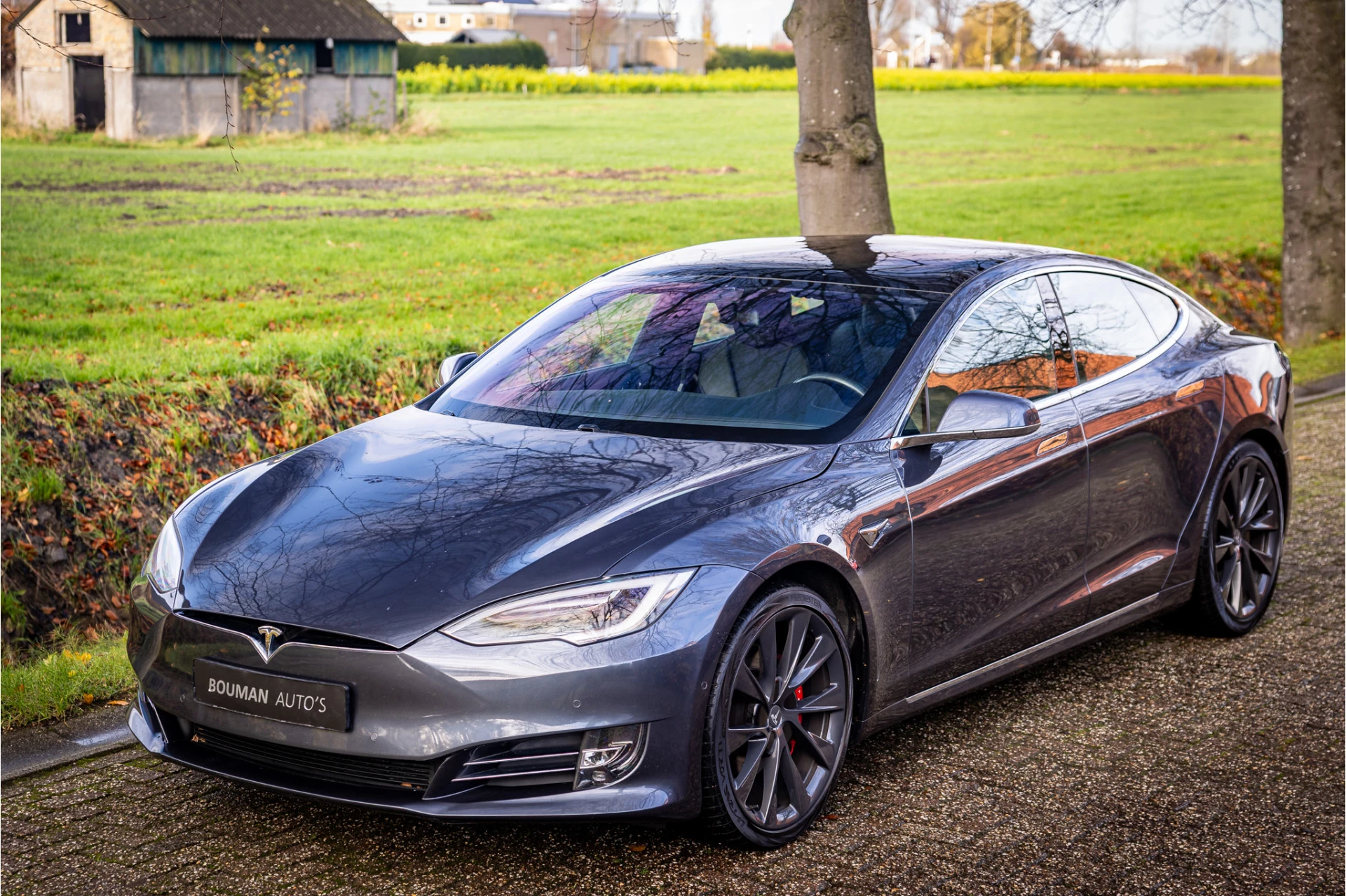 Hoofdafbeelding Tesla Model S