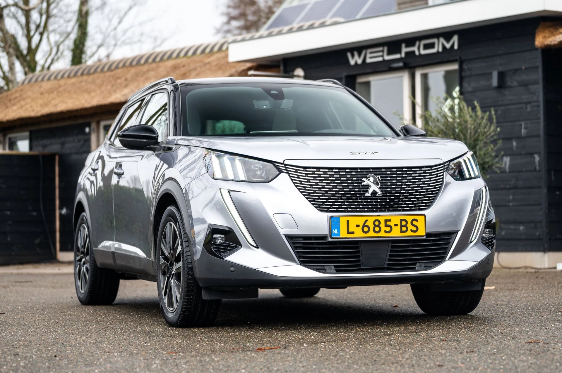 Hoofdafbeelding Peugeot e-2008