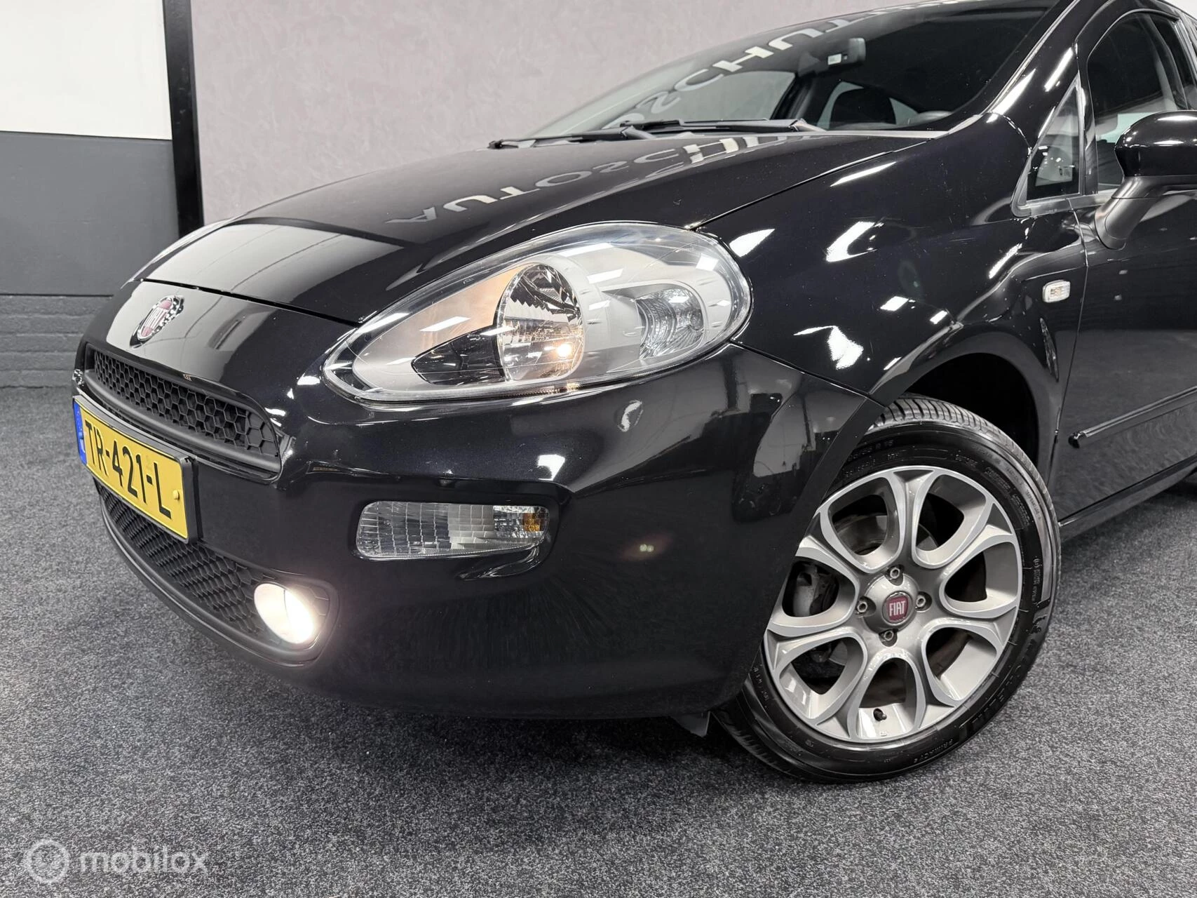 Hoofdafbeelding Fiat Punto
