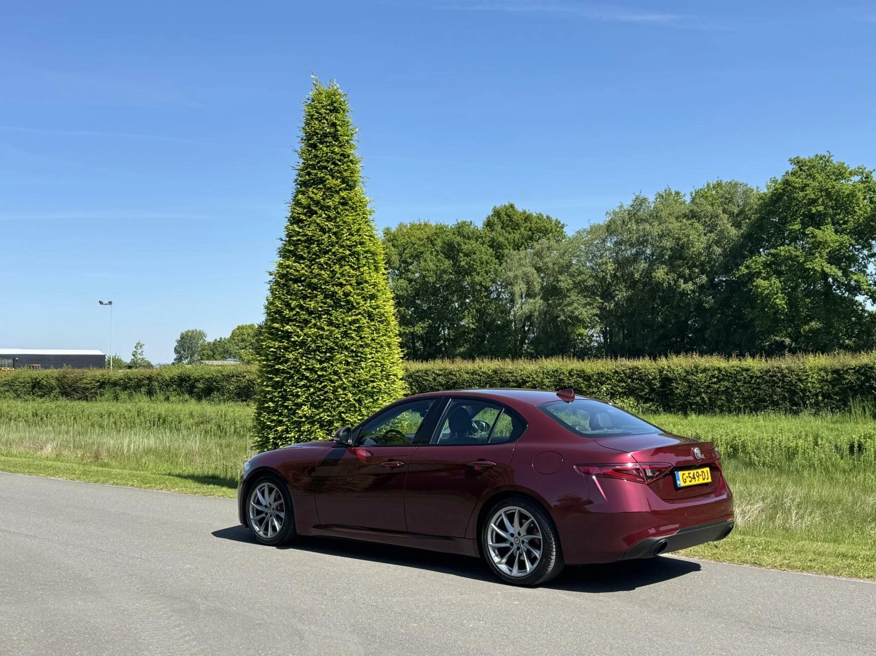 Hoofdafbeelding Alfa Romeo Giulia