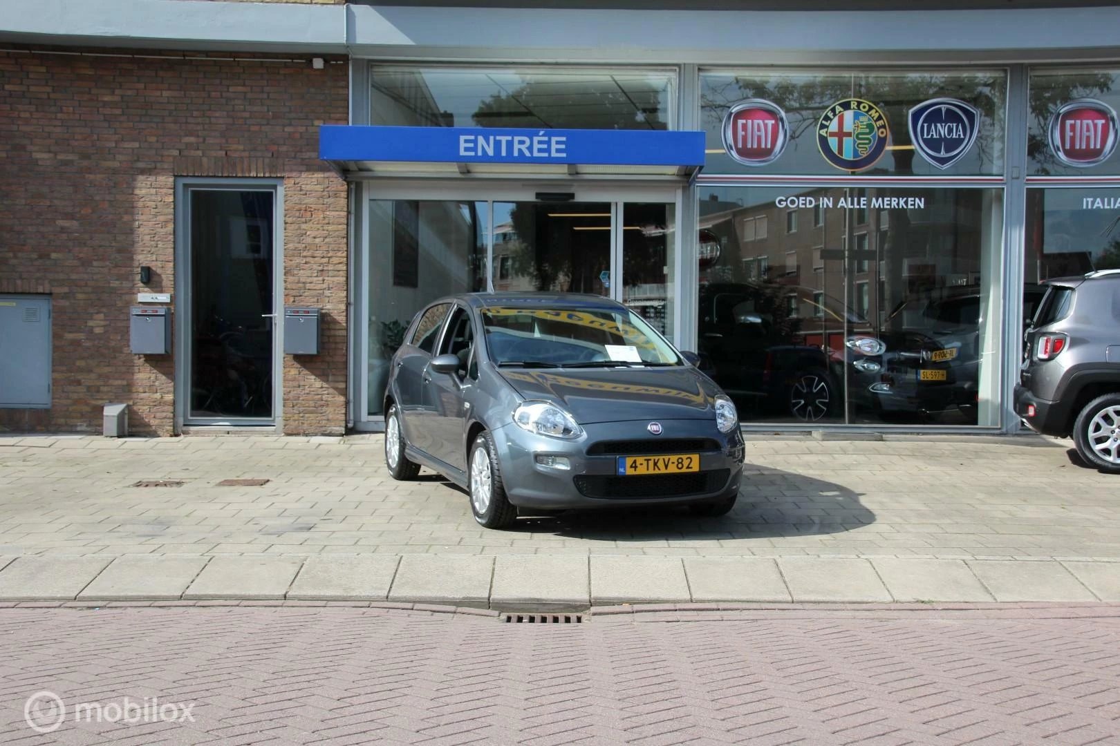 Hoofdafbeelding Fiat Punto