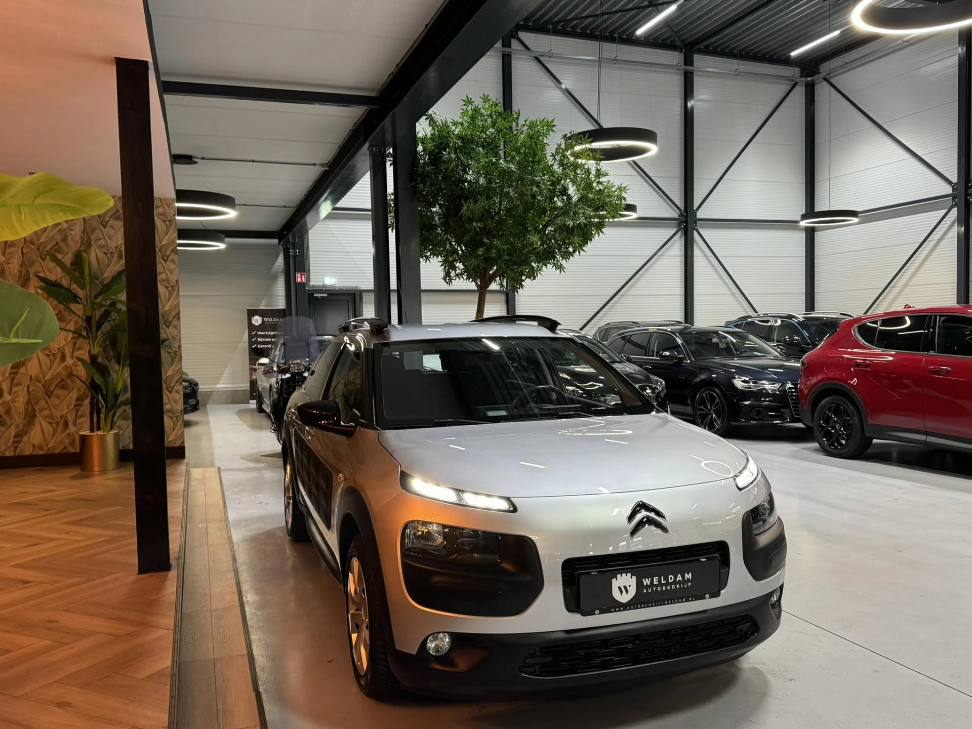 Hoofdafbeelding Citroën C4 Cactus