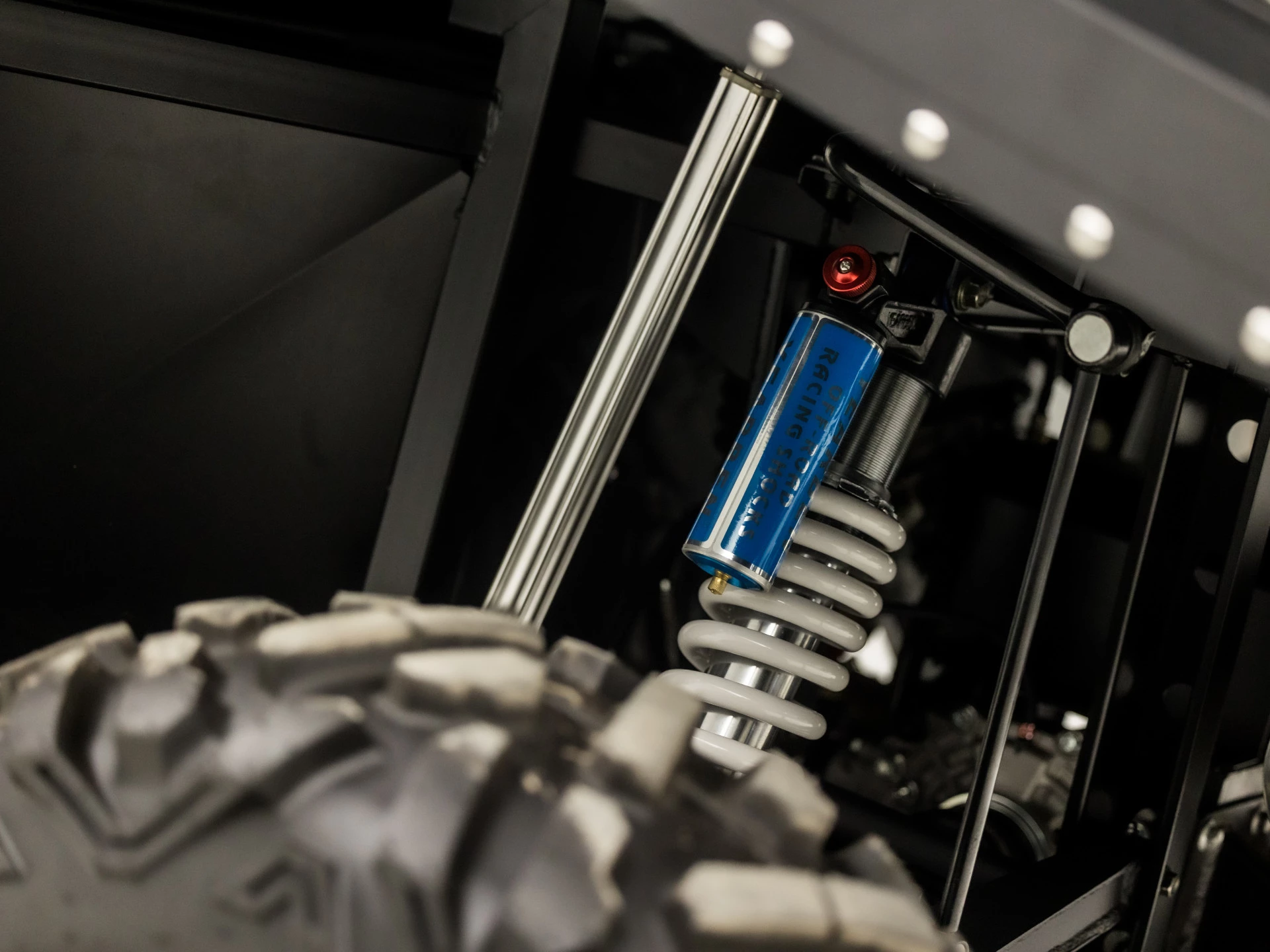 Hoofdafbeelding MASSIMO Warrior