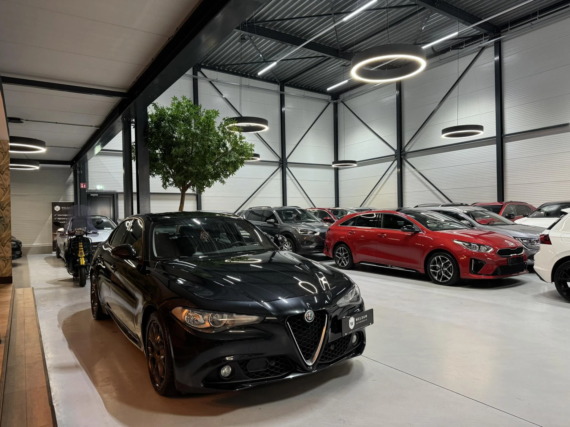 Hoofdafbeelding Alfa Romeo Giulia