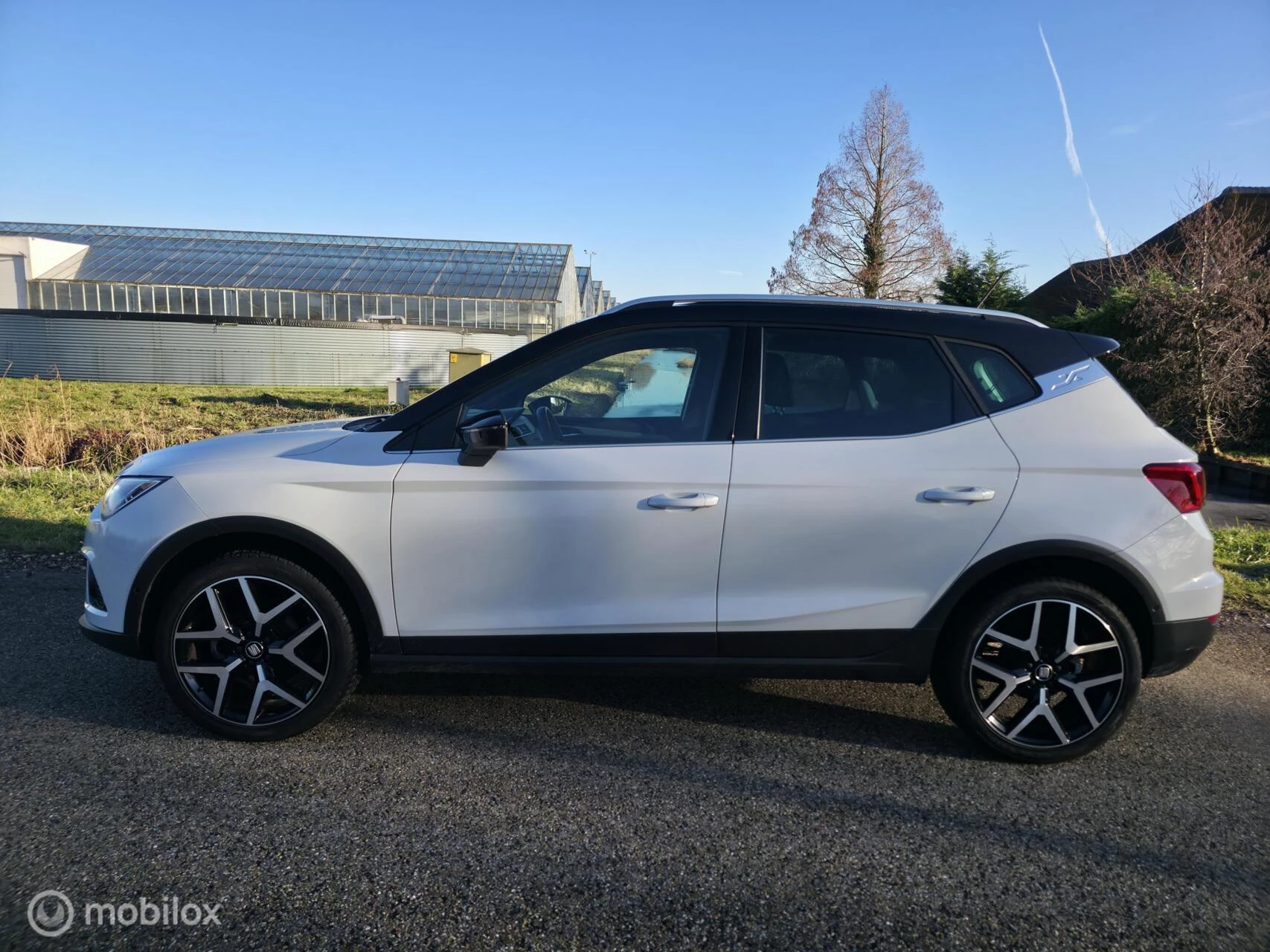 Hoofdafbeelding SEAT Arona