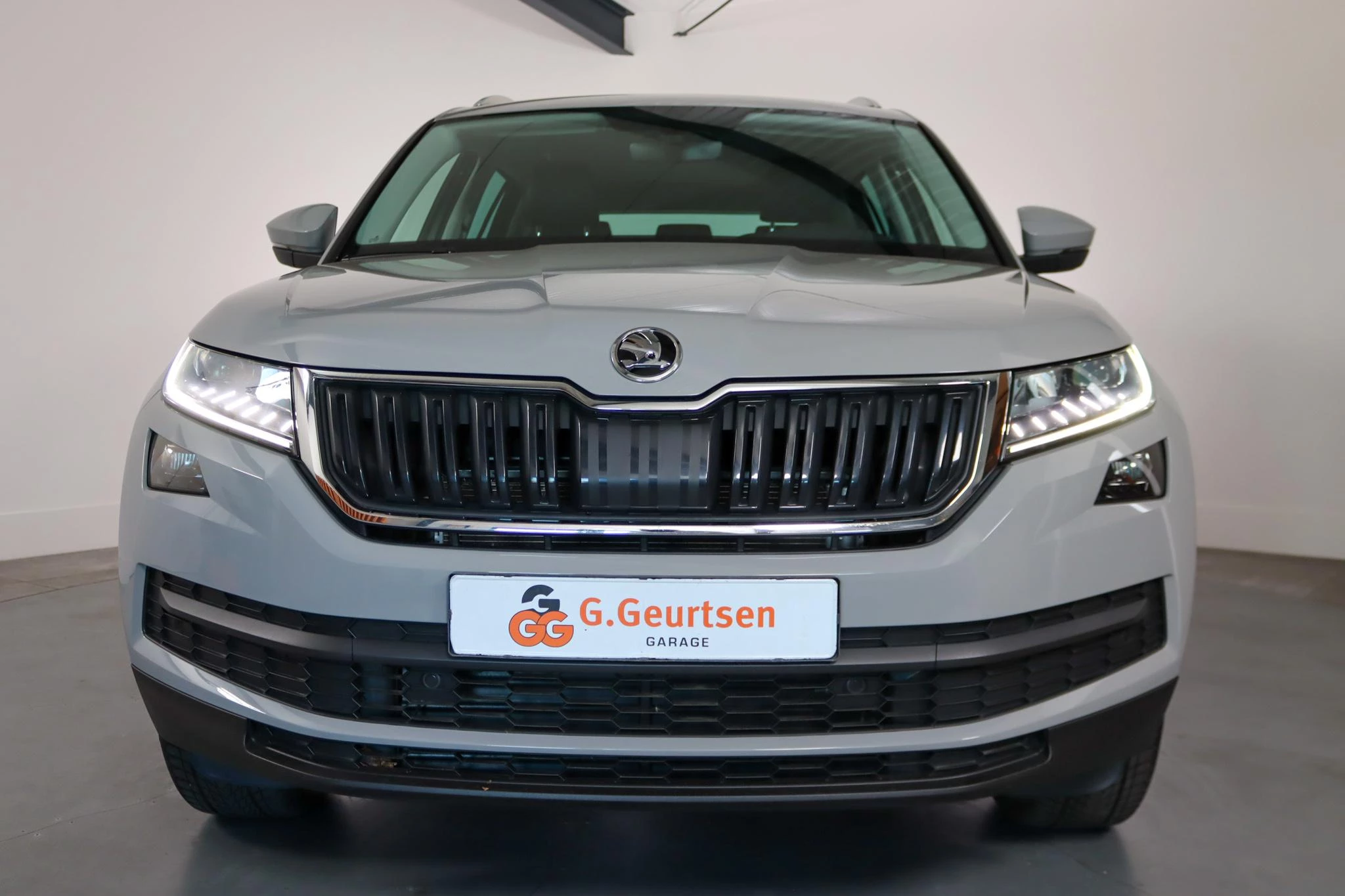 Hoofdafbeelding Škoda Kodiaq