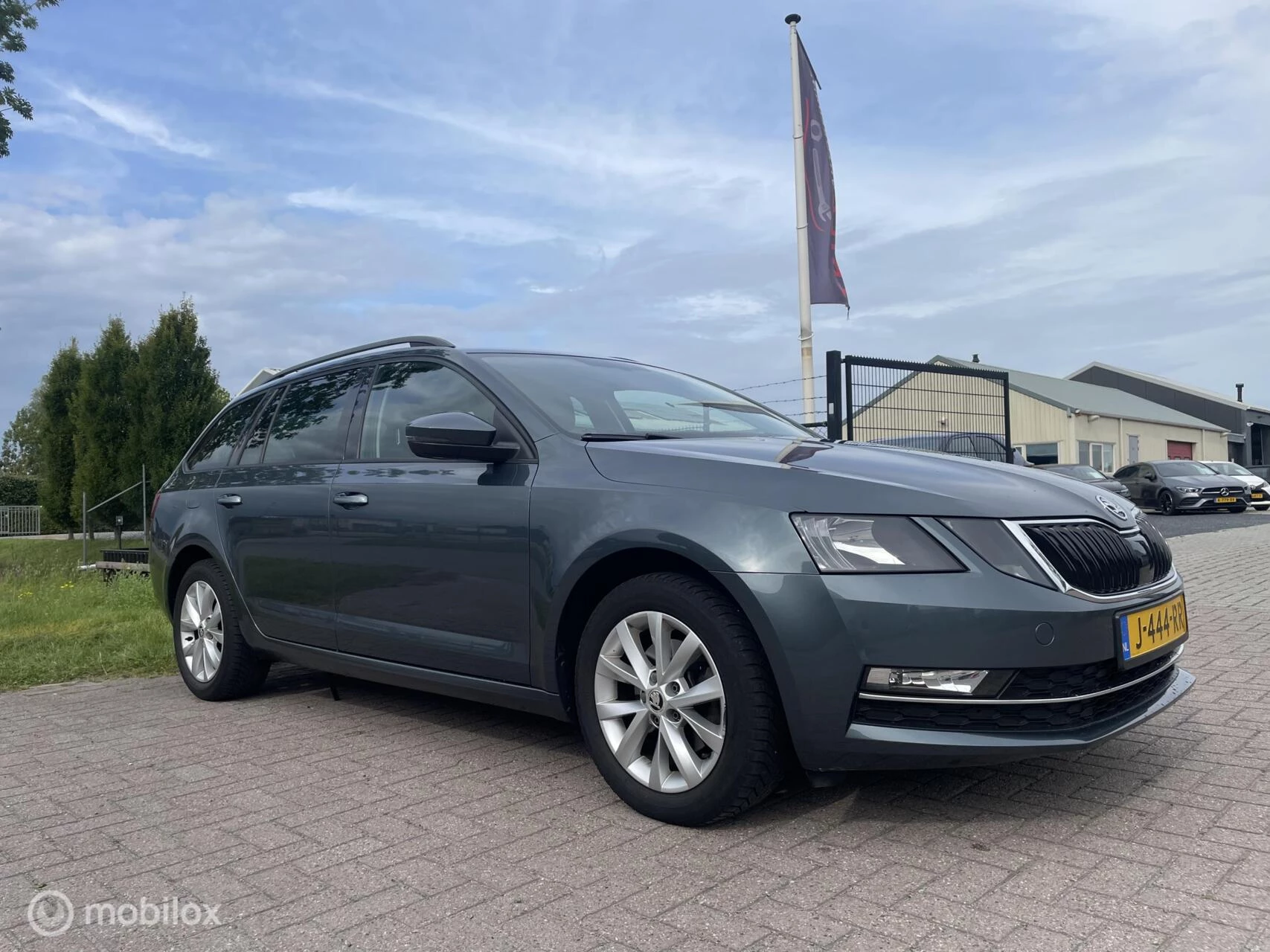 Hoofdafbeelding Škoda Octavia
