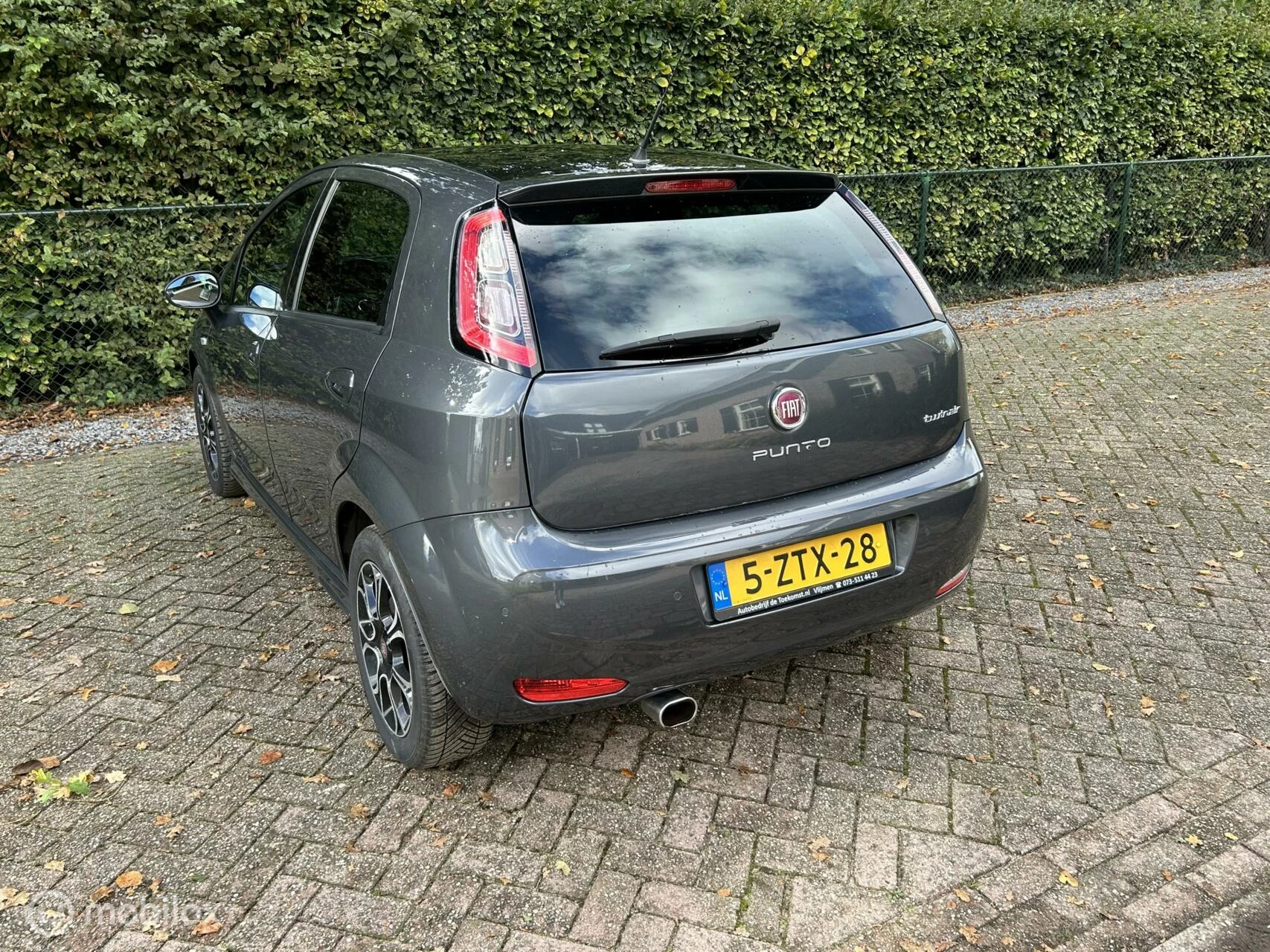 Hoofdafbeelding Fiat Punto