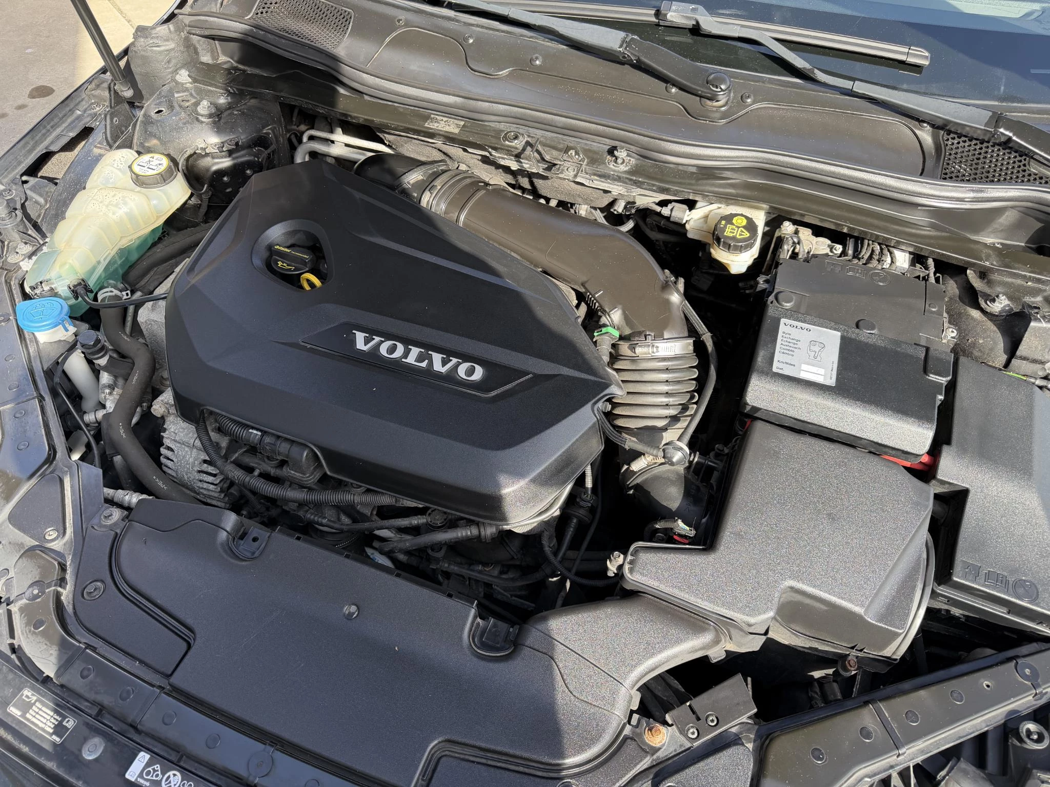 Hoofdafbeelding Volvo V40