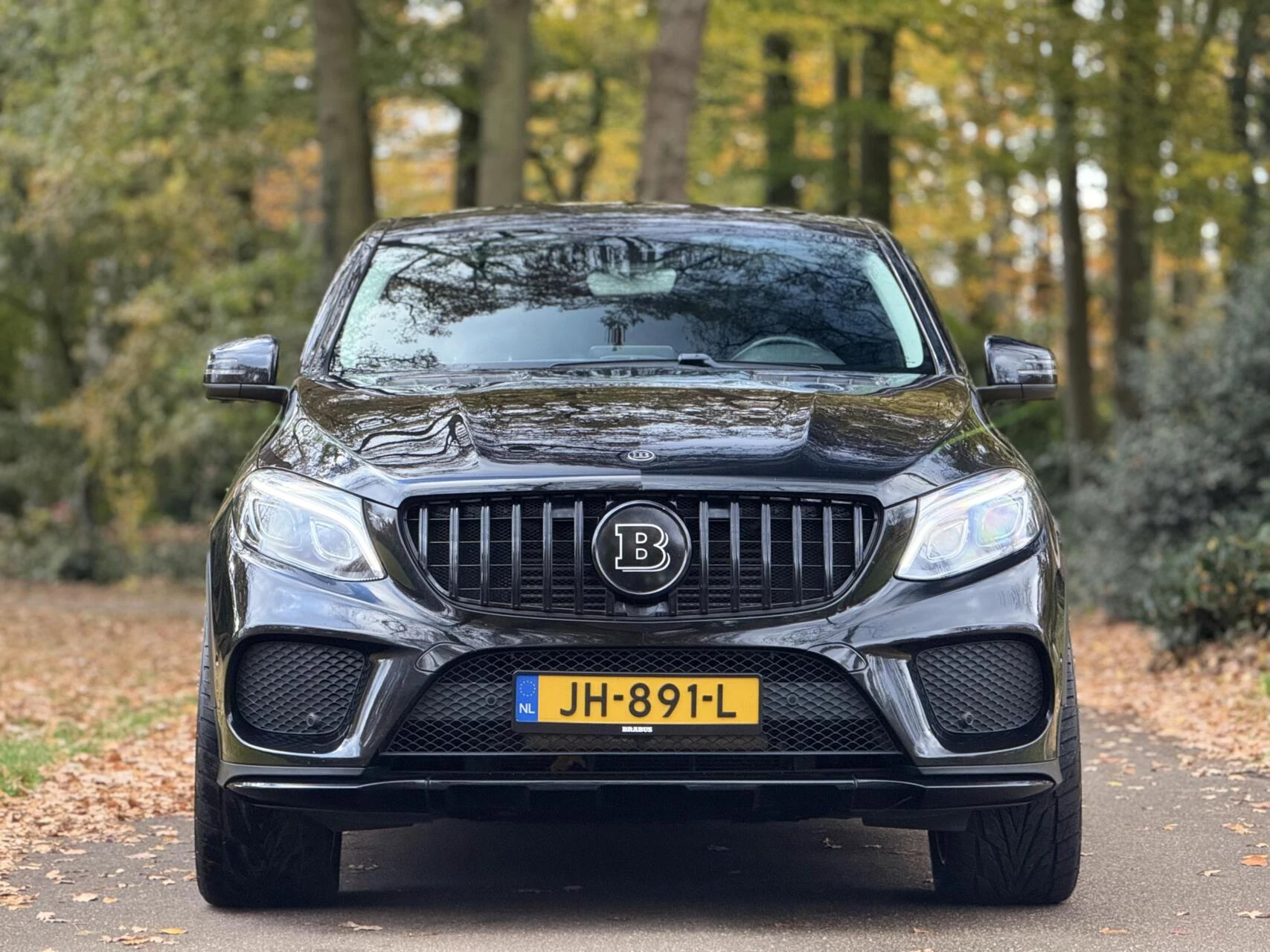 Hoofdafbeelding Mercedes-Benz GLE