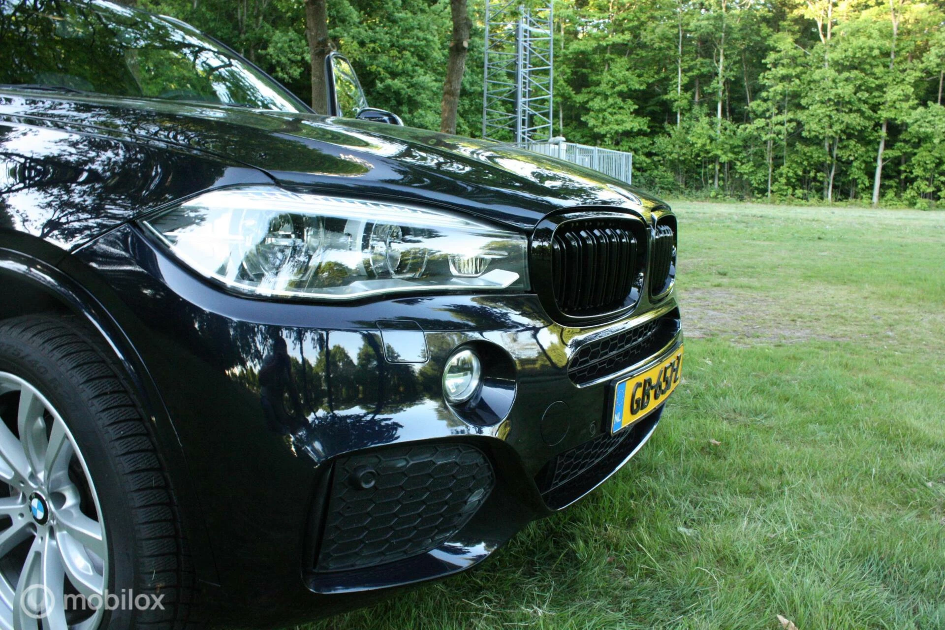 Hoofdafbeelding BMW X5