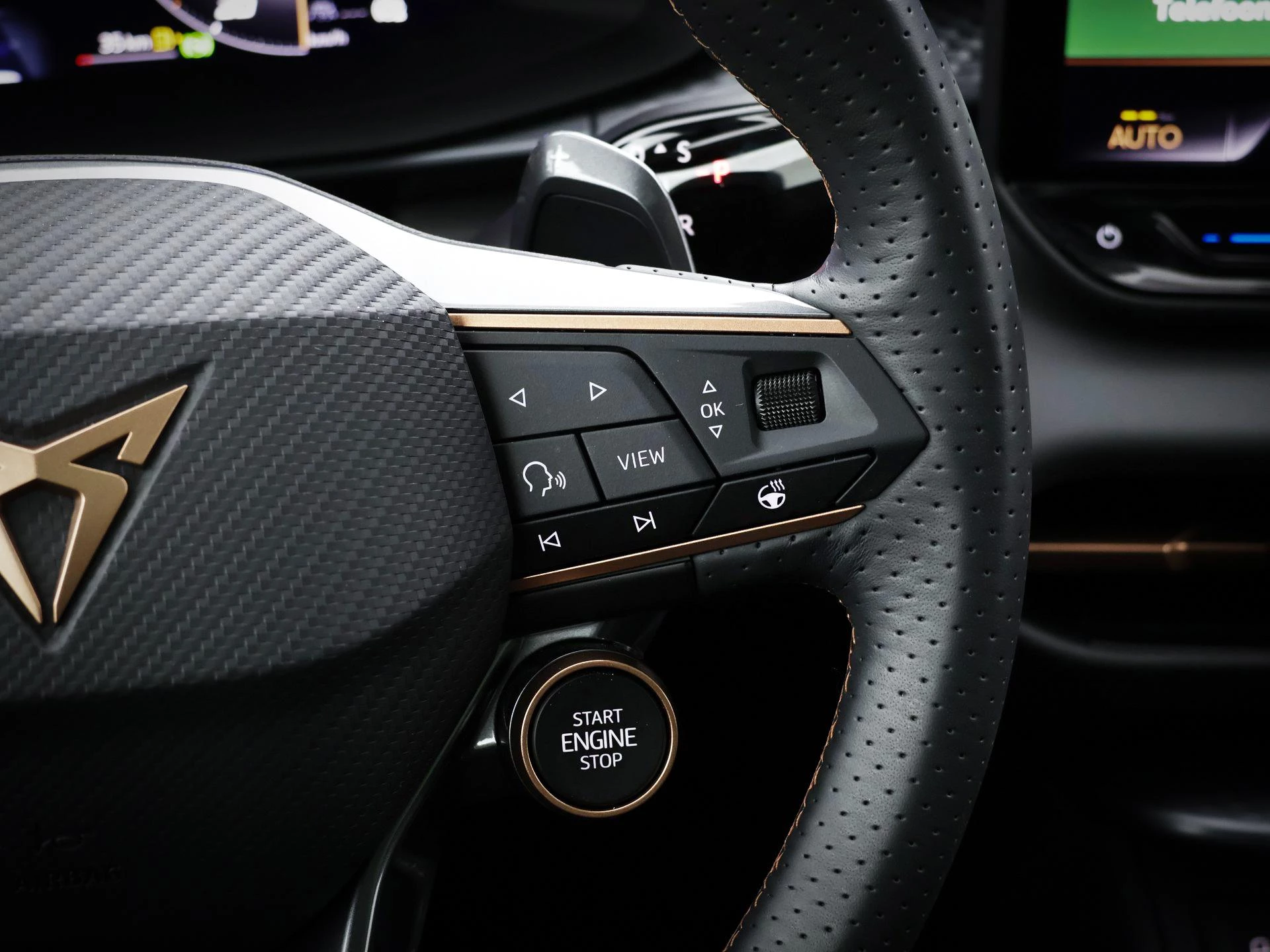 Hoofdafbeelding CUPRA Terramar