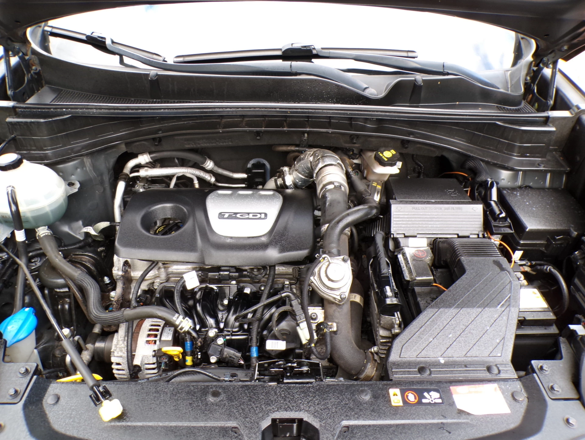 Hoofdafbeelding Kia Sportage