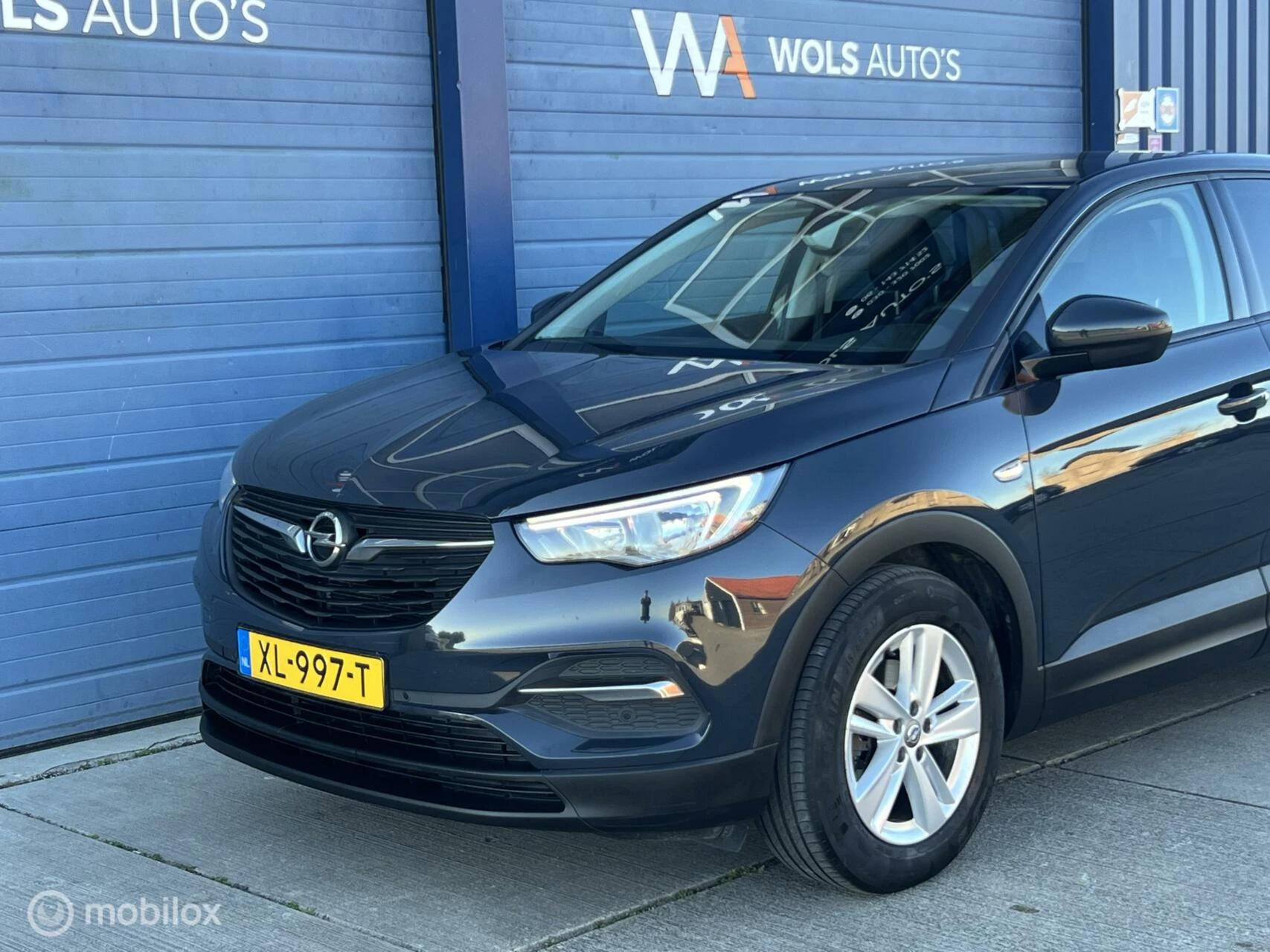 Hoofdafbeelding Opel Grandland X