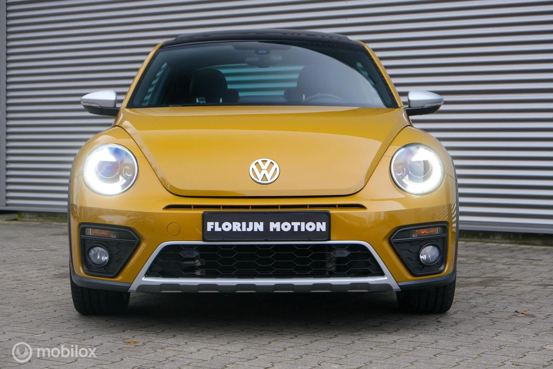 Hoofdafbeelding Volkswagen Beetle