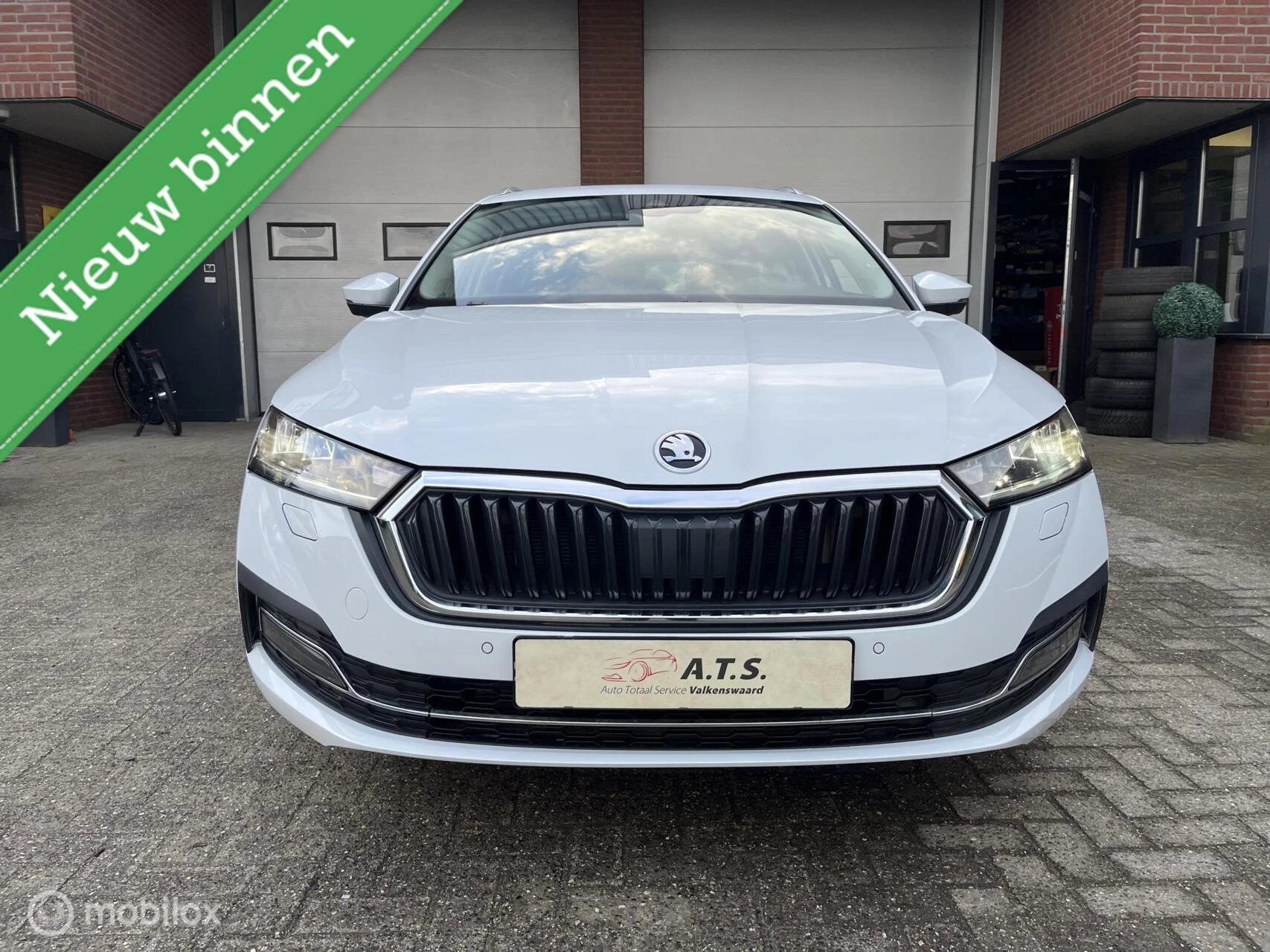 Hoofdafbeelding Škoda Octavia